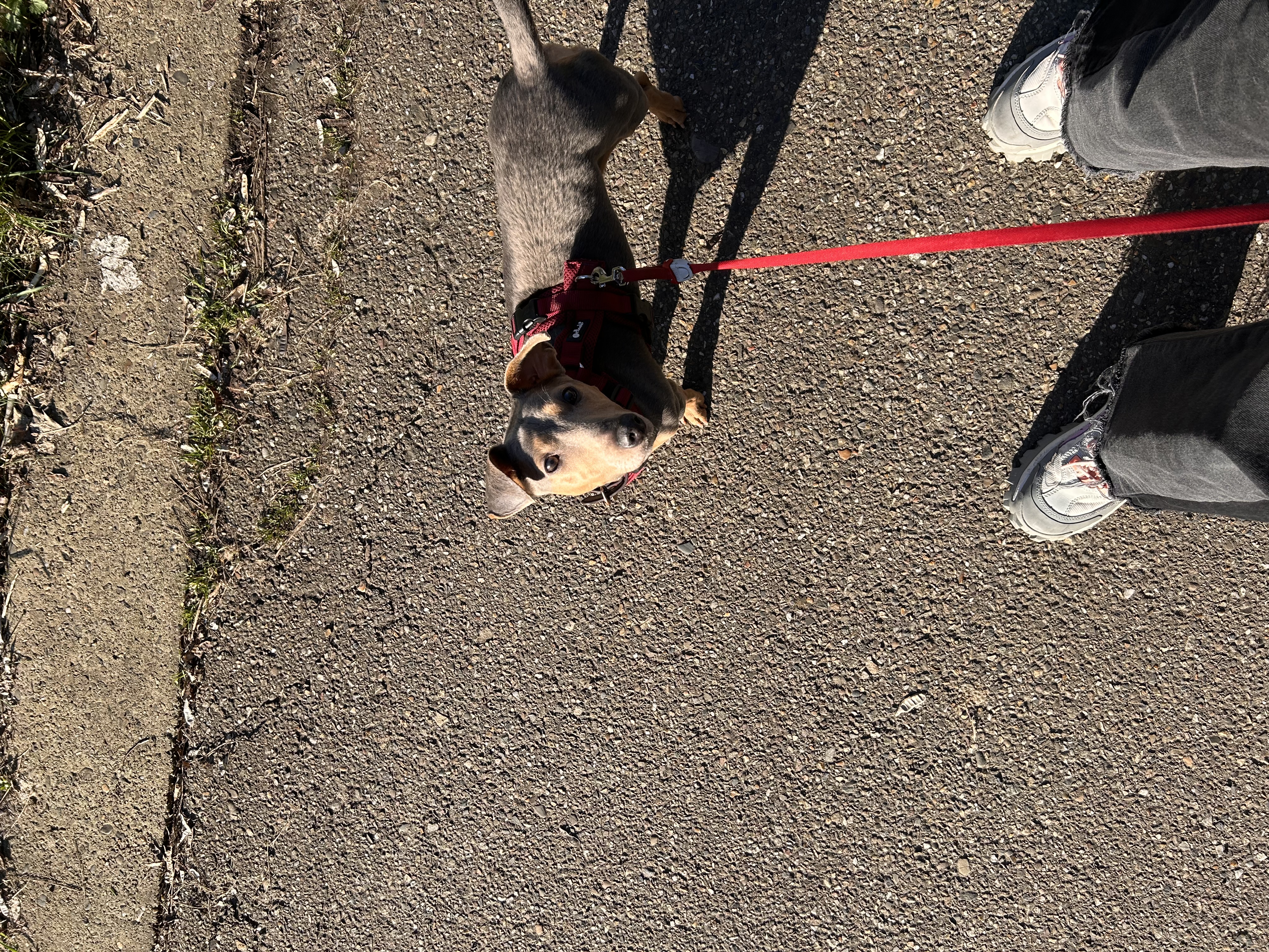 image-7