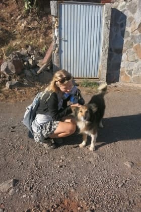 image-2