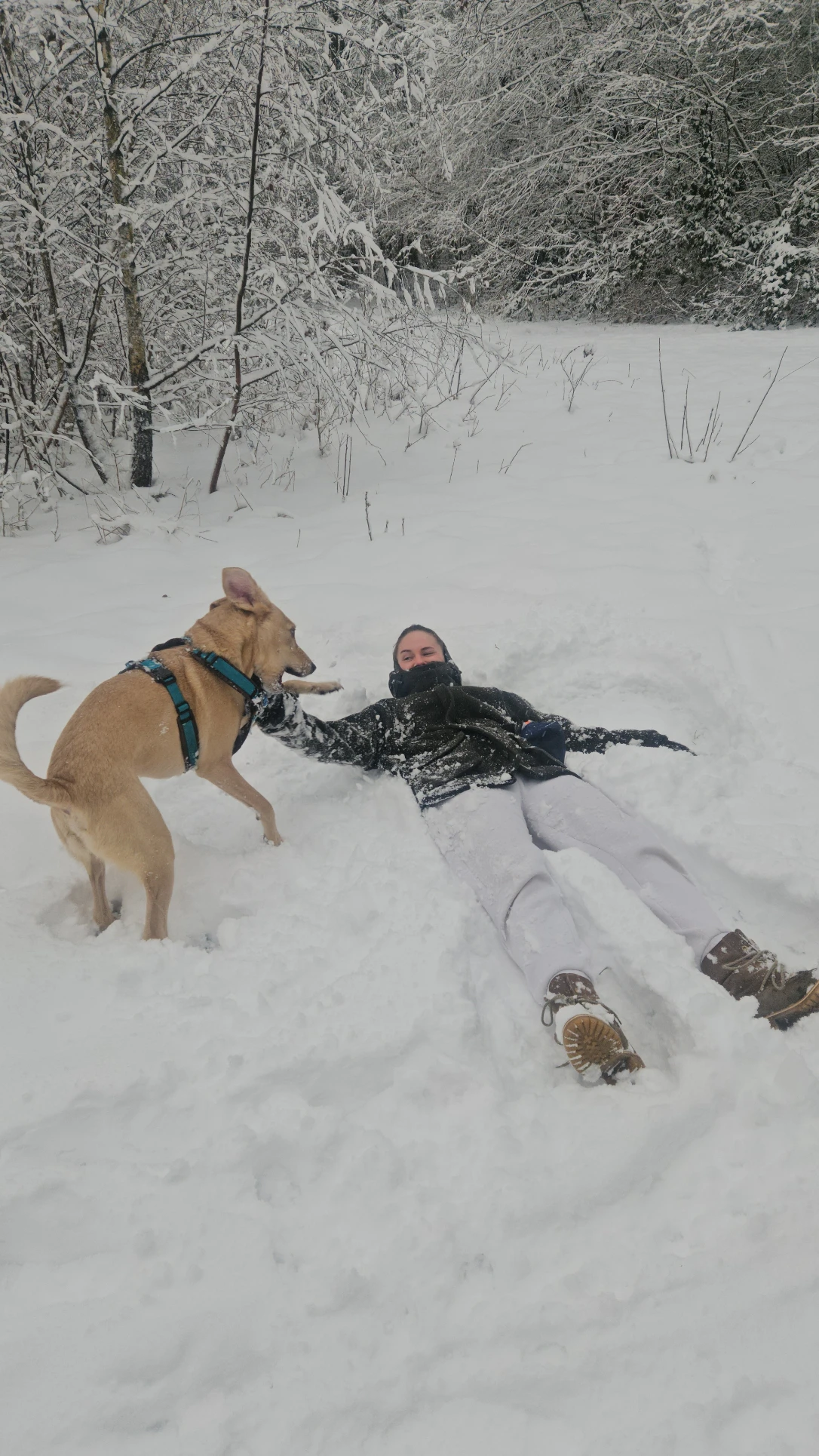 image-7