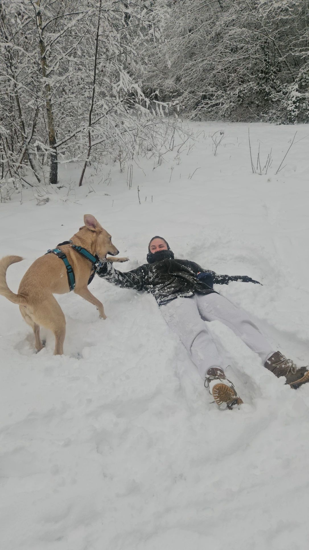 image-7