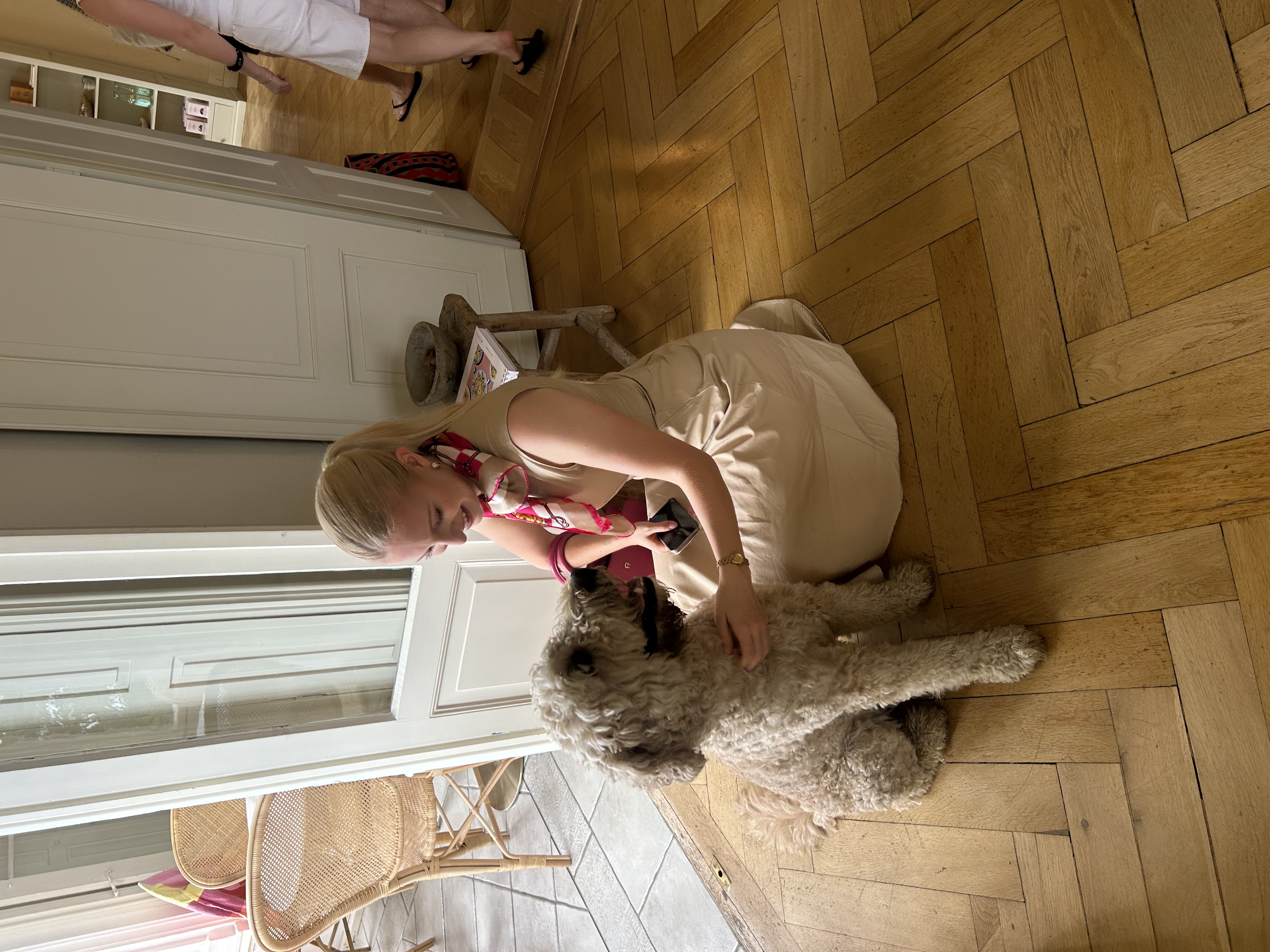 image-7