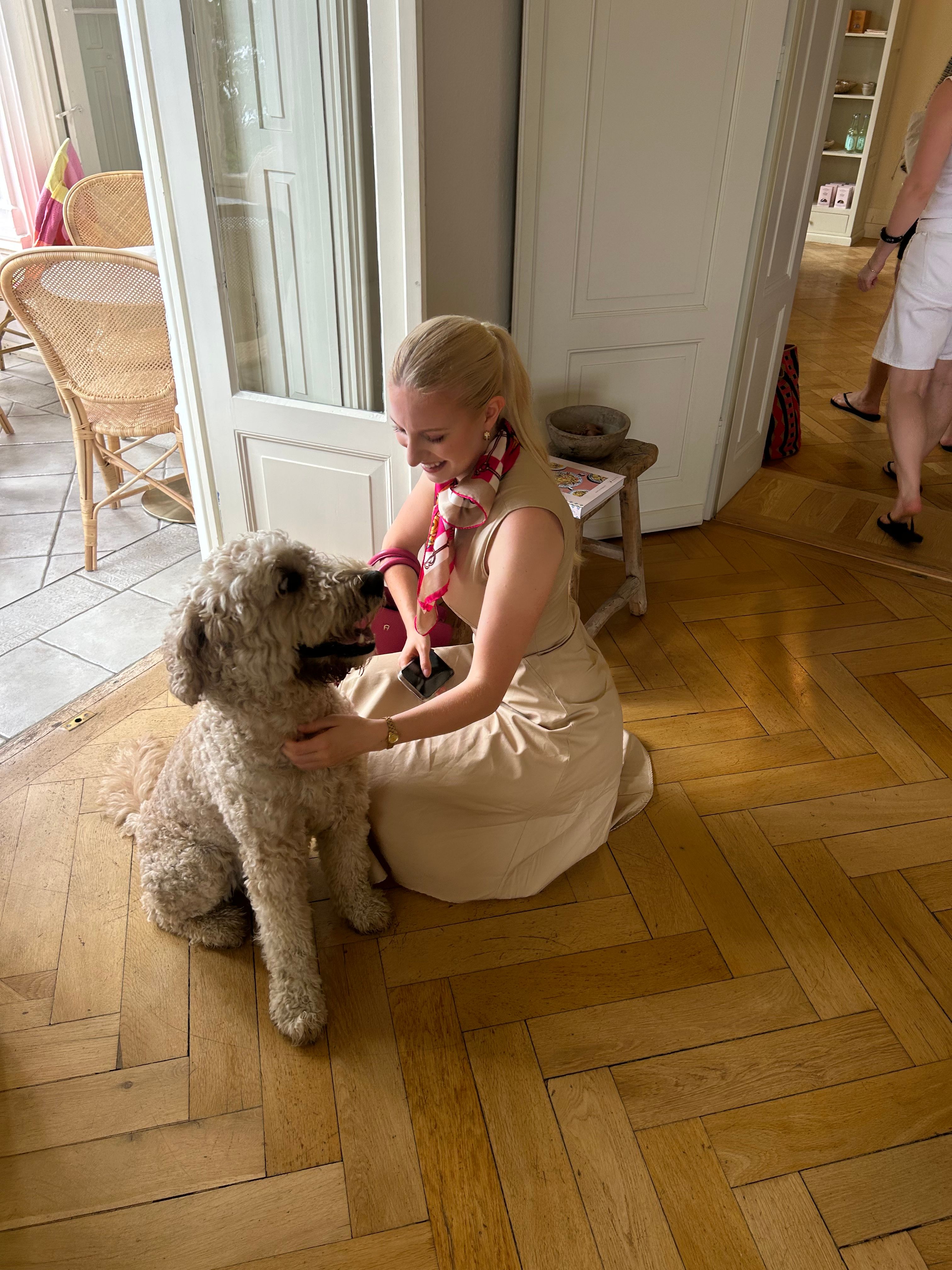 image-7
