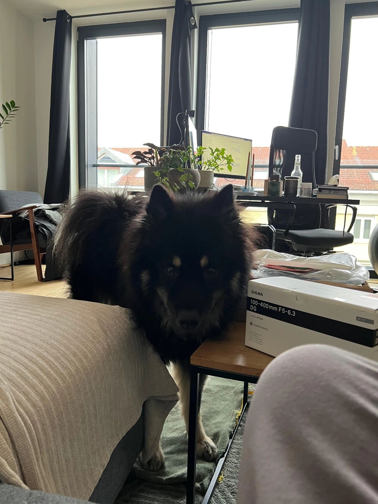 image-5