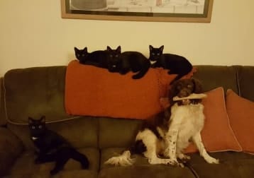 Scarlett And Babies
