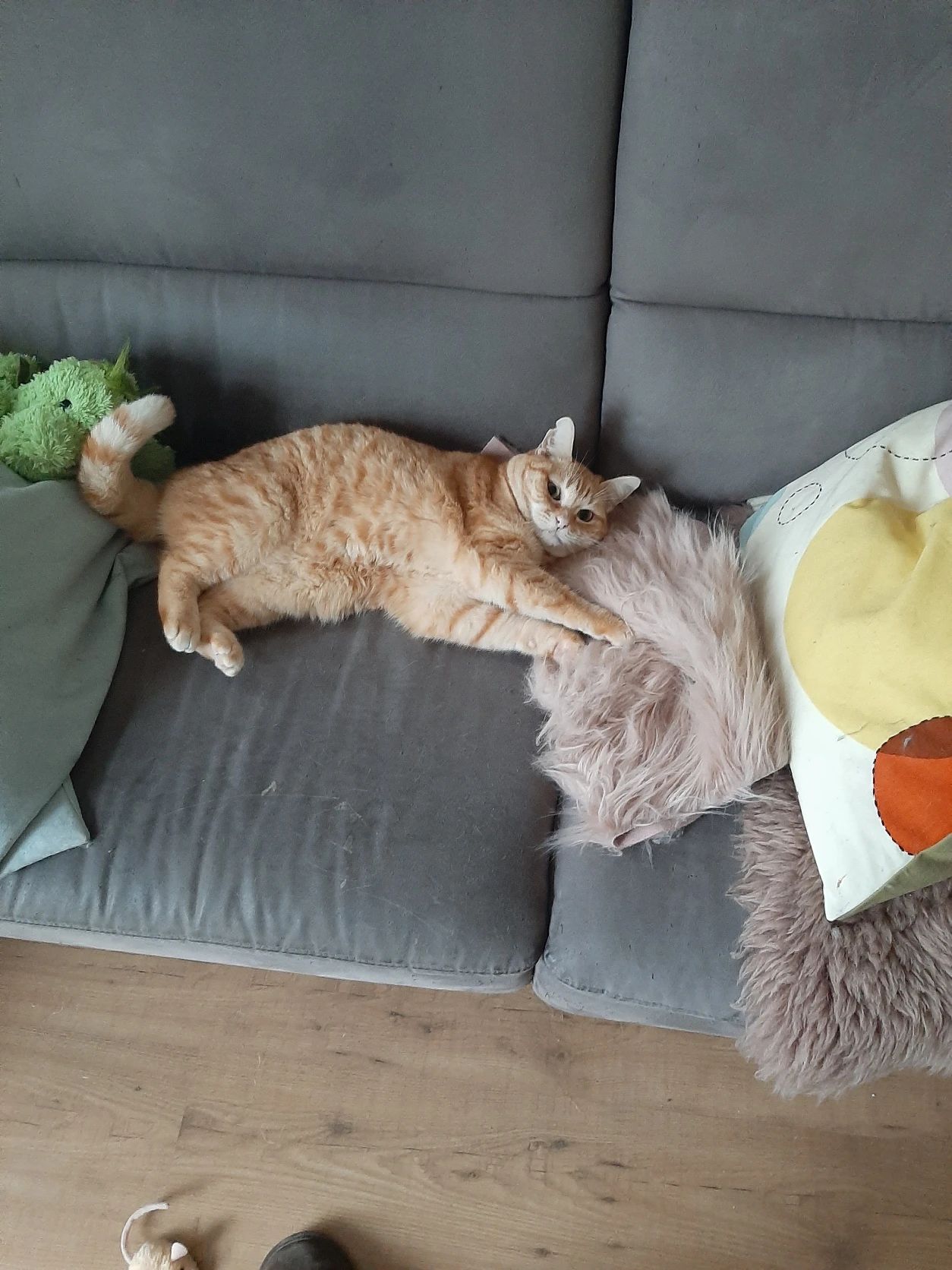 image-11