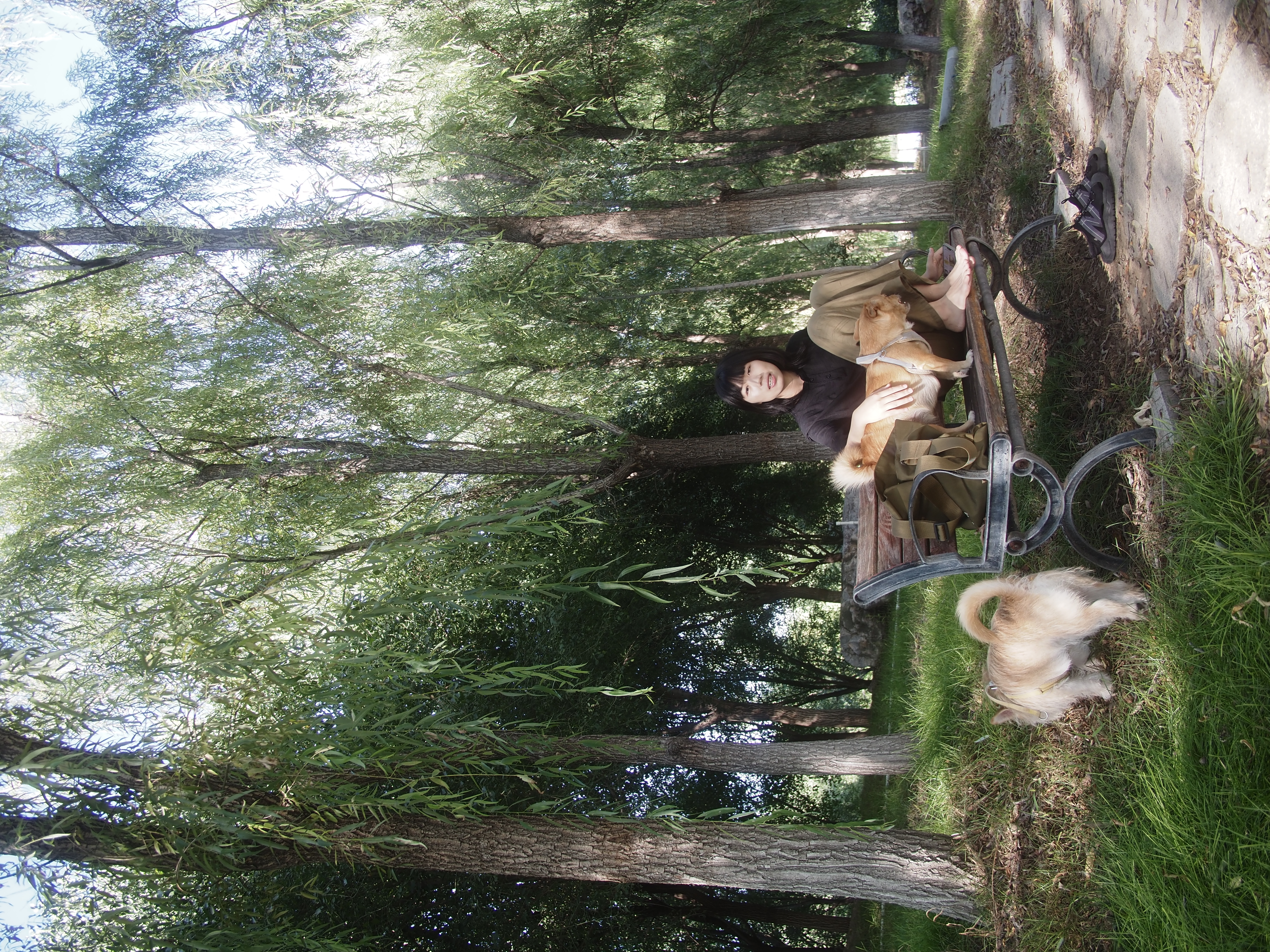 image-1