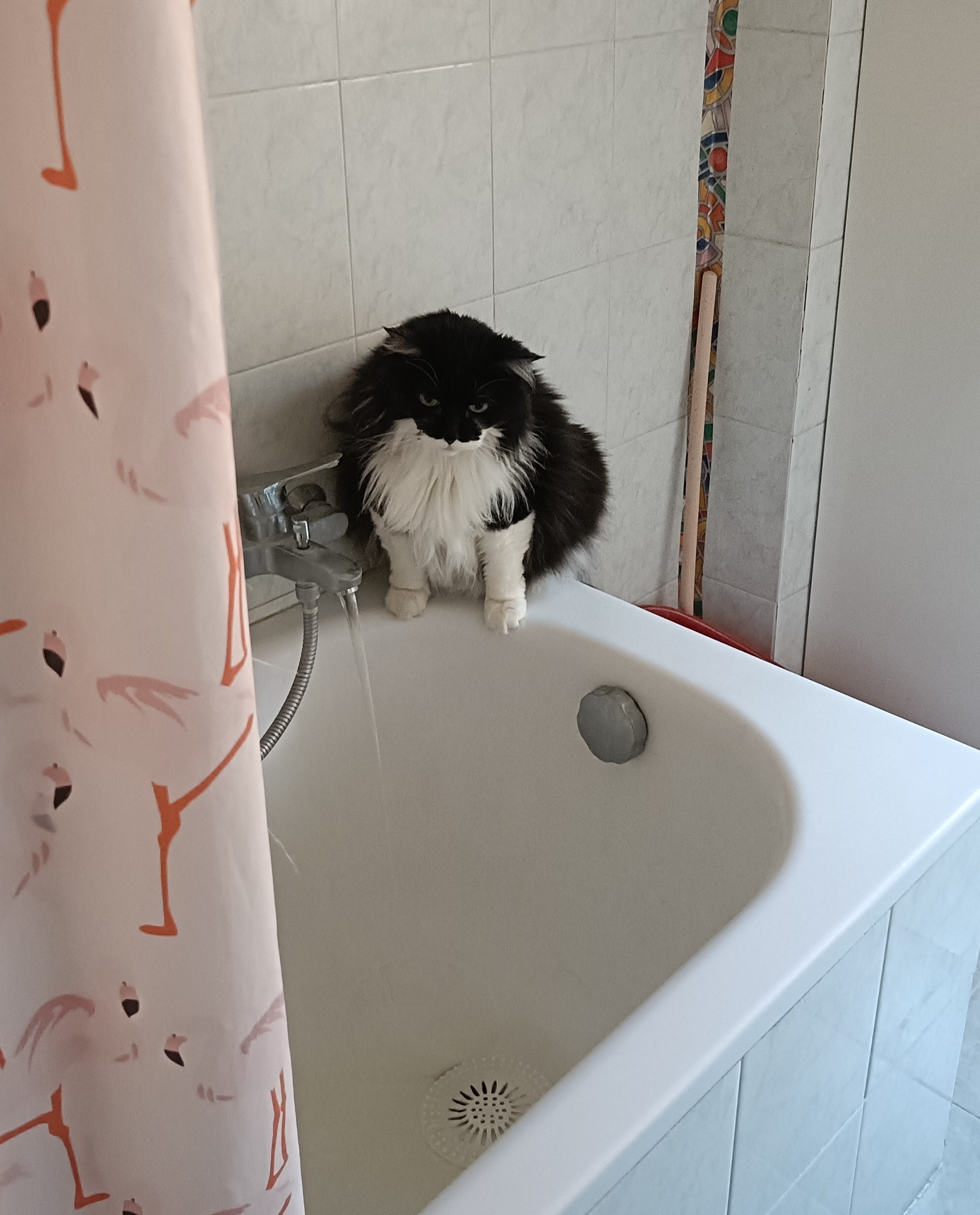 image-13
