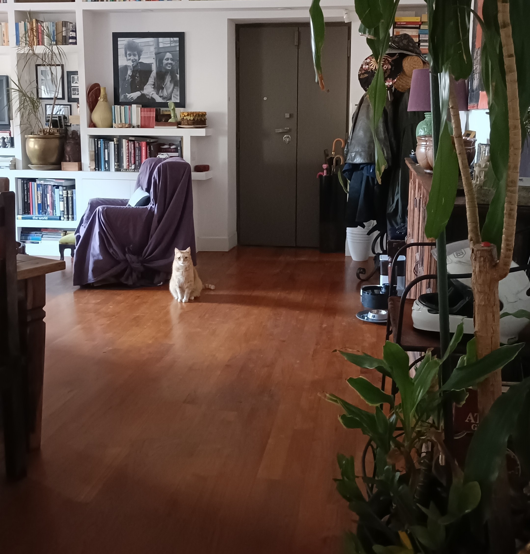 image-18