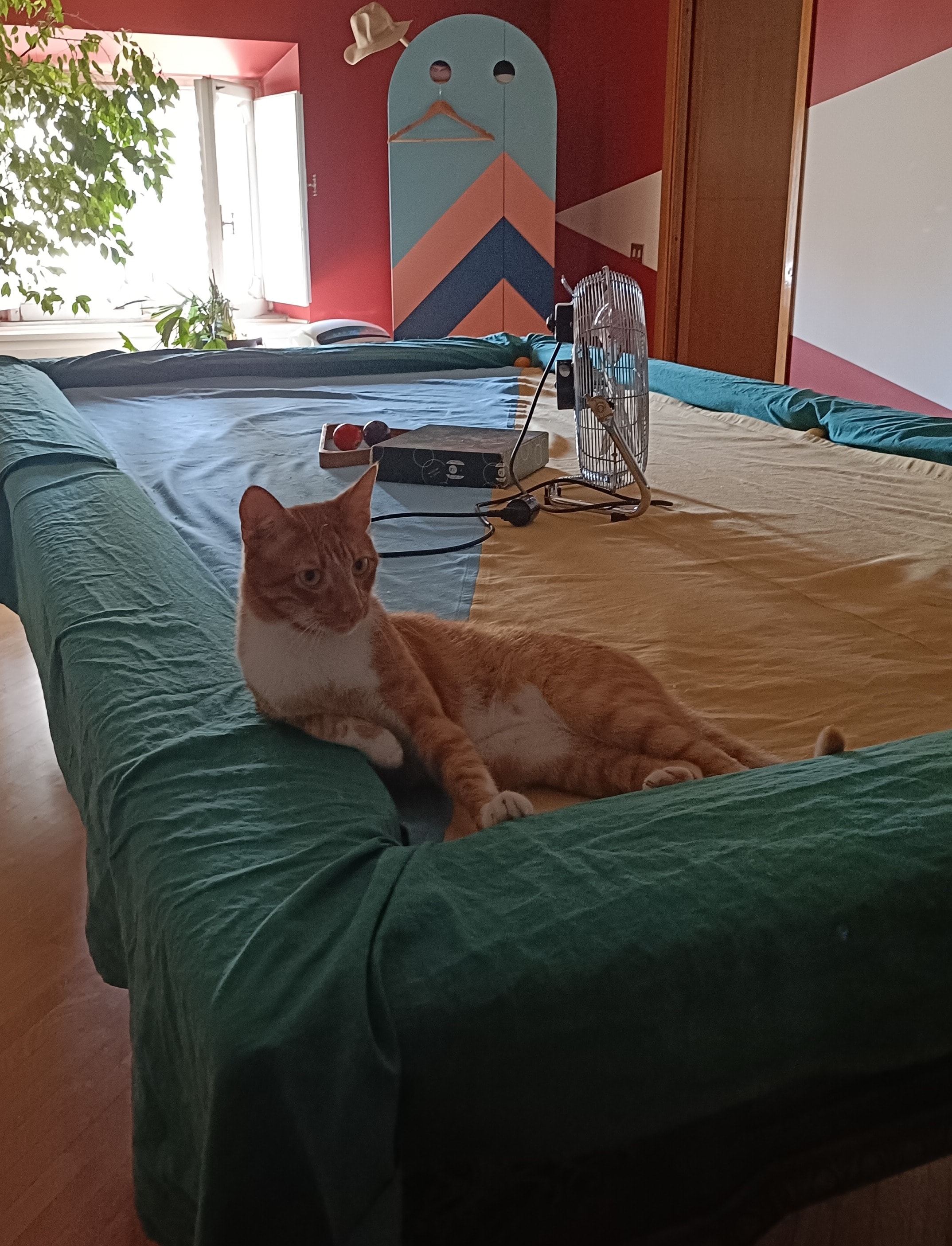 image-7