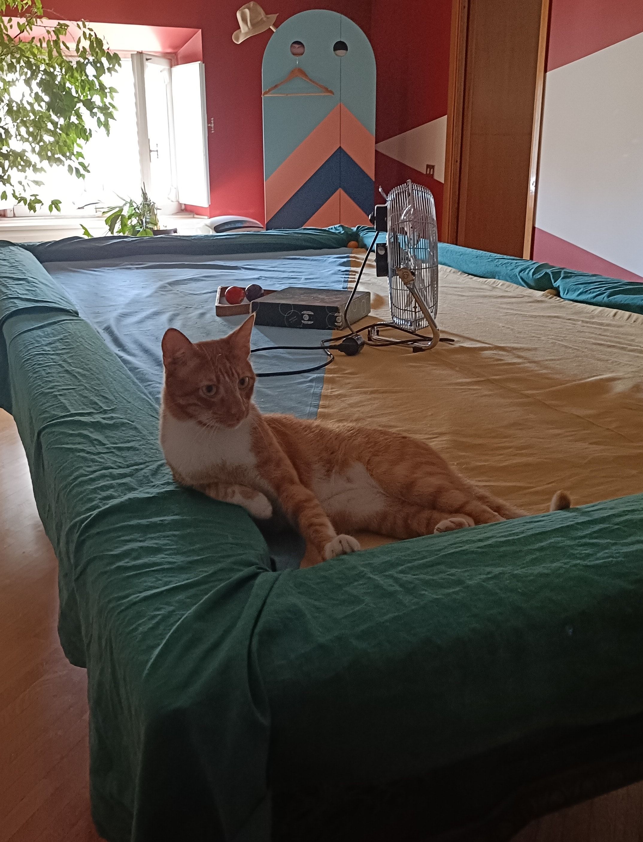 image-7