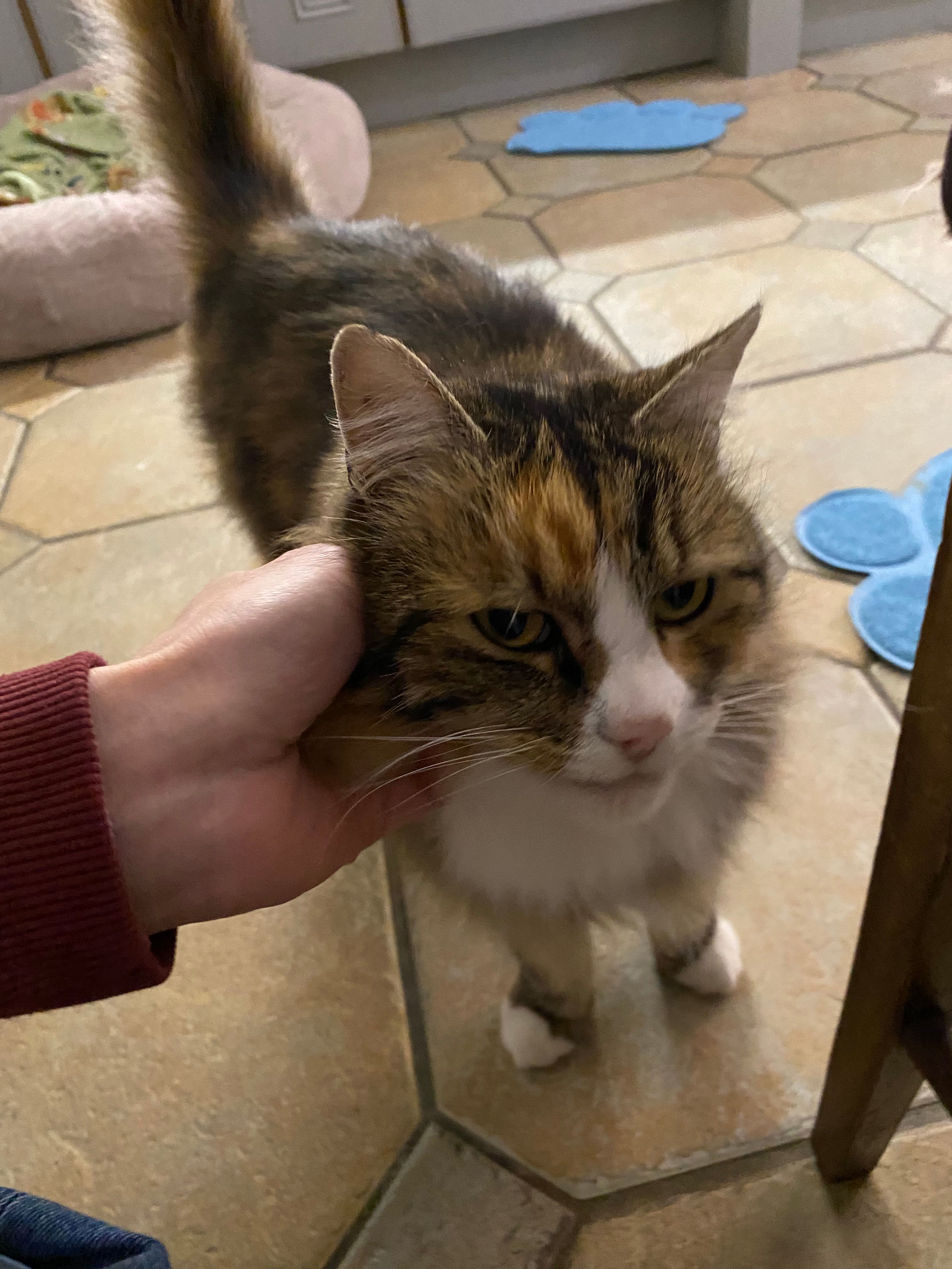 image-13