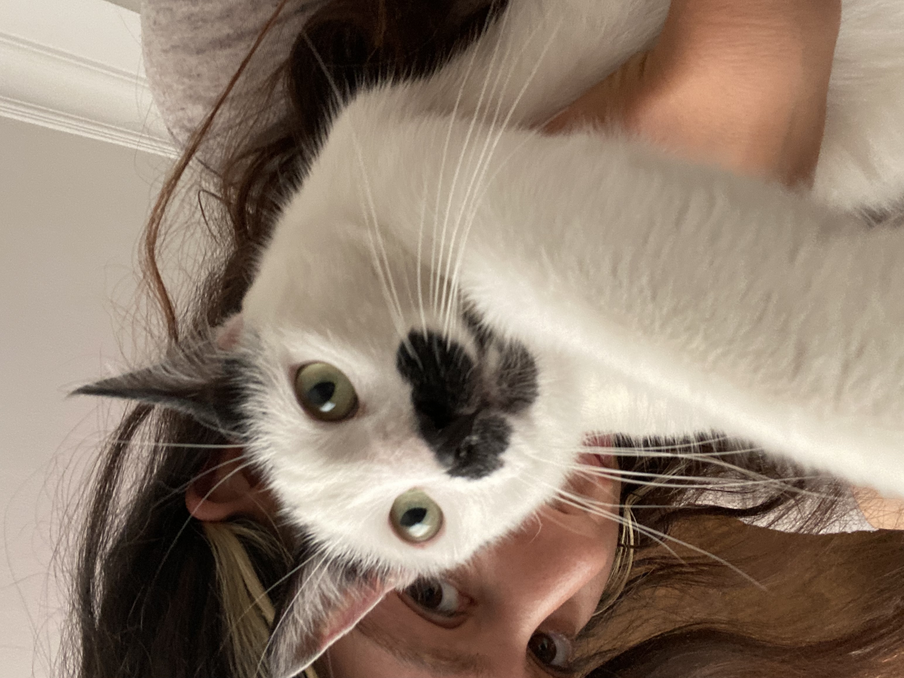 image-8
