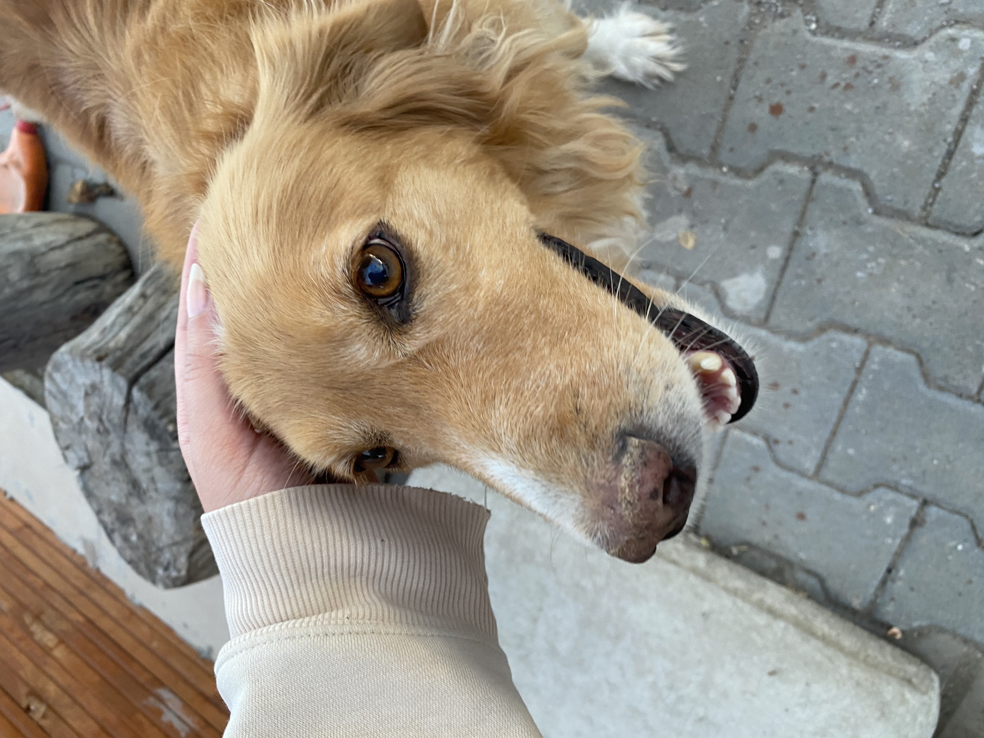 image-7