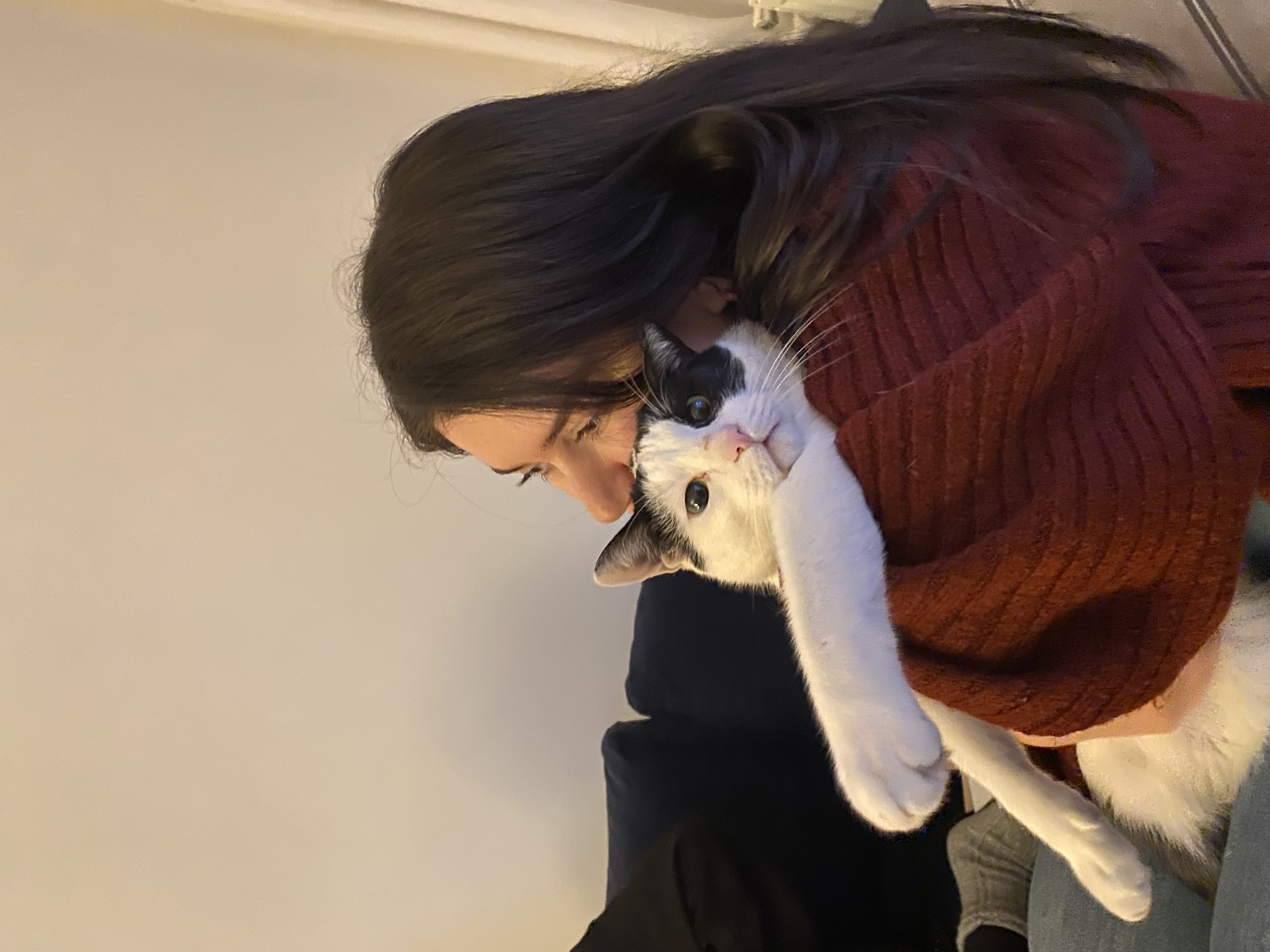 image-6