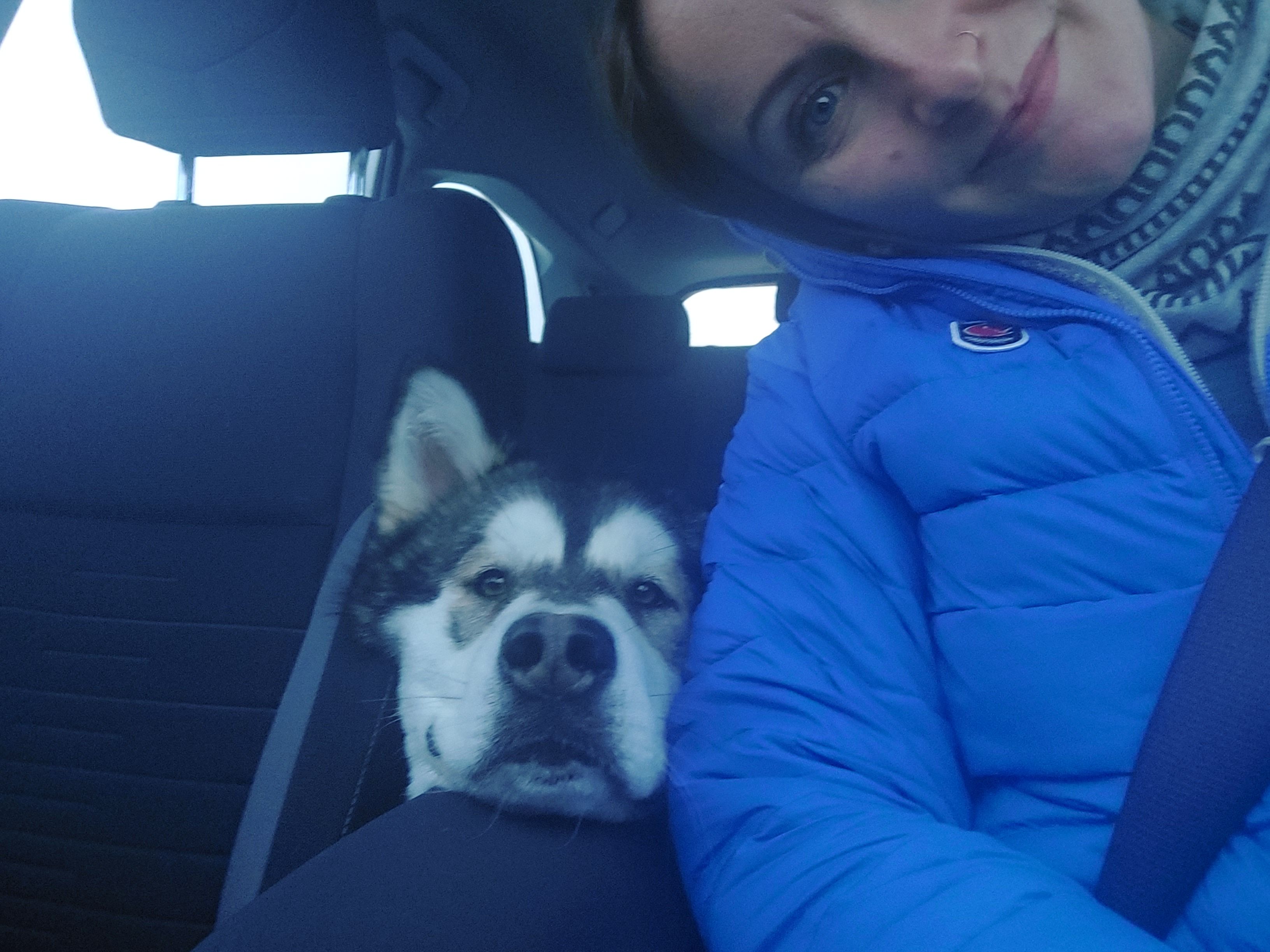 image-7