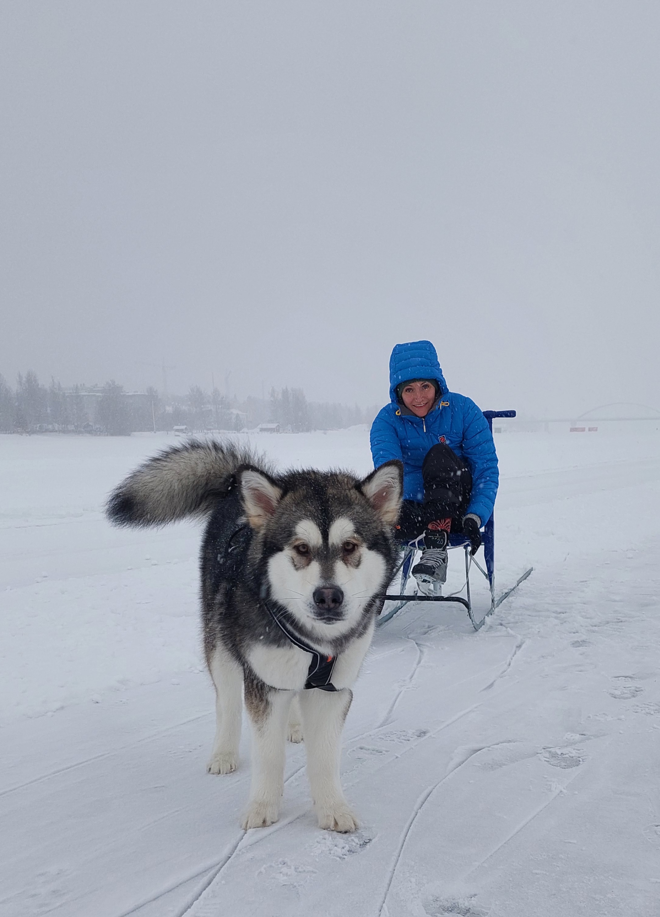 image-8
