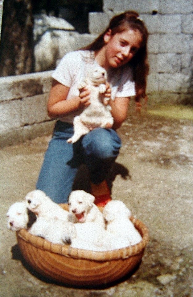 image-8