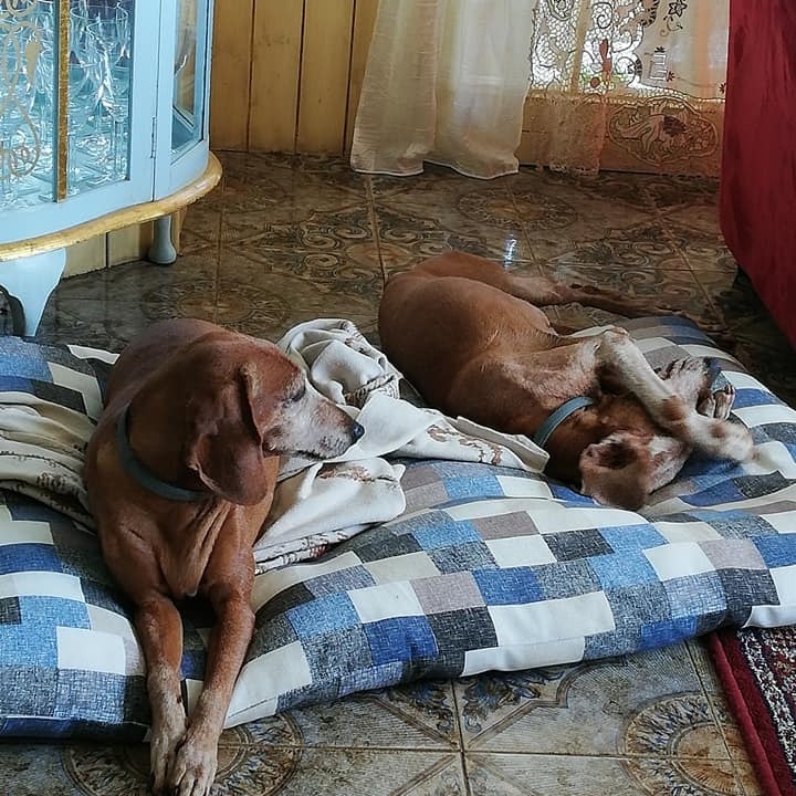 Michi e Diana