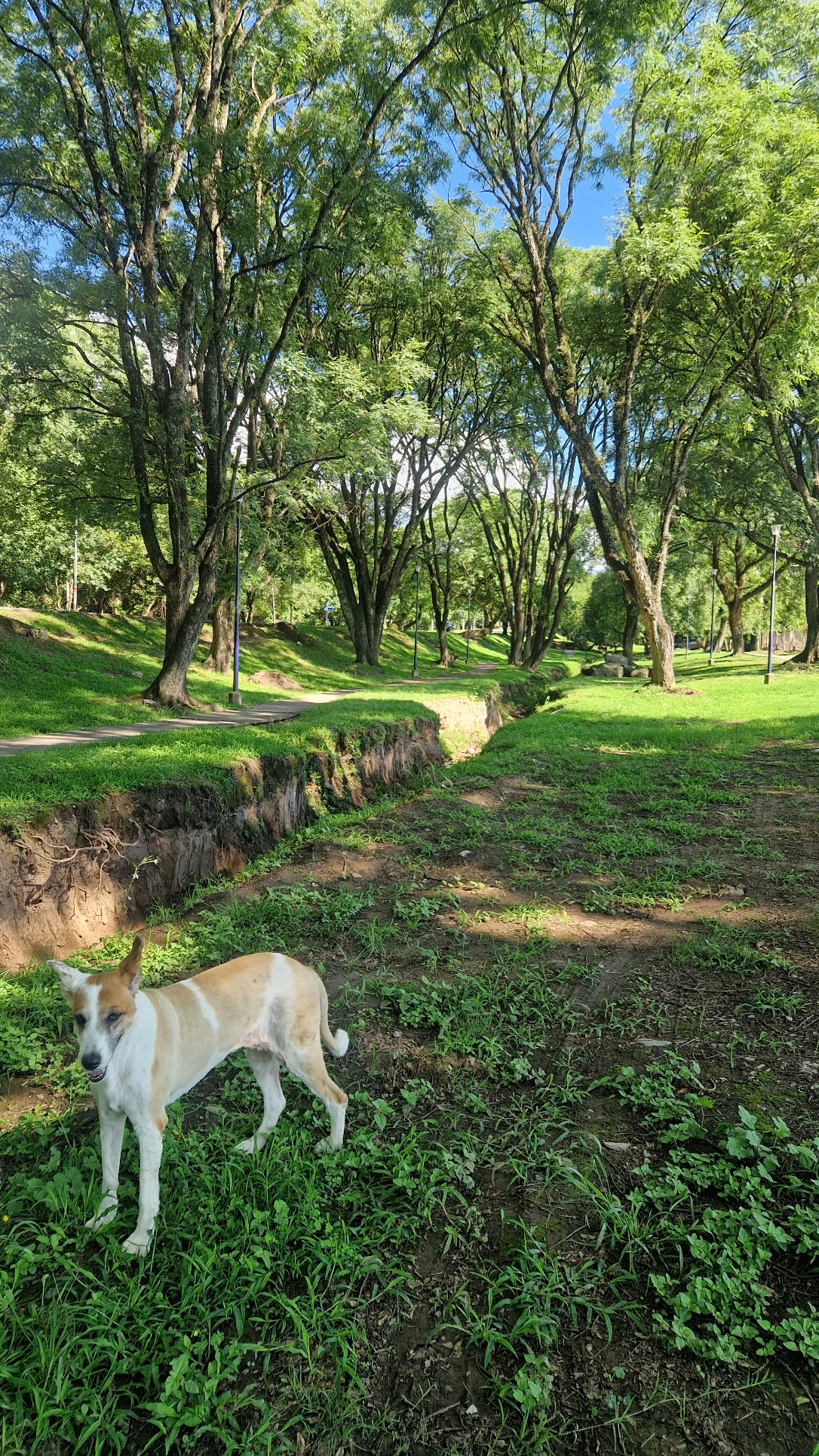 image-9