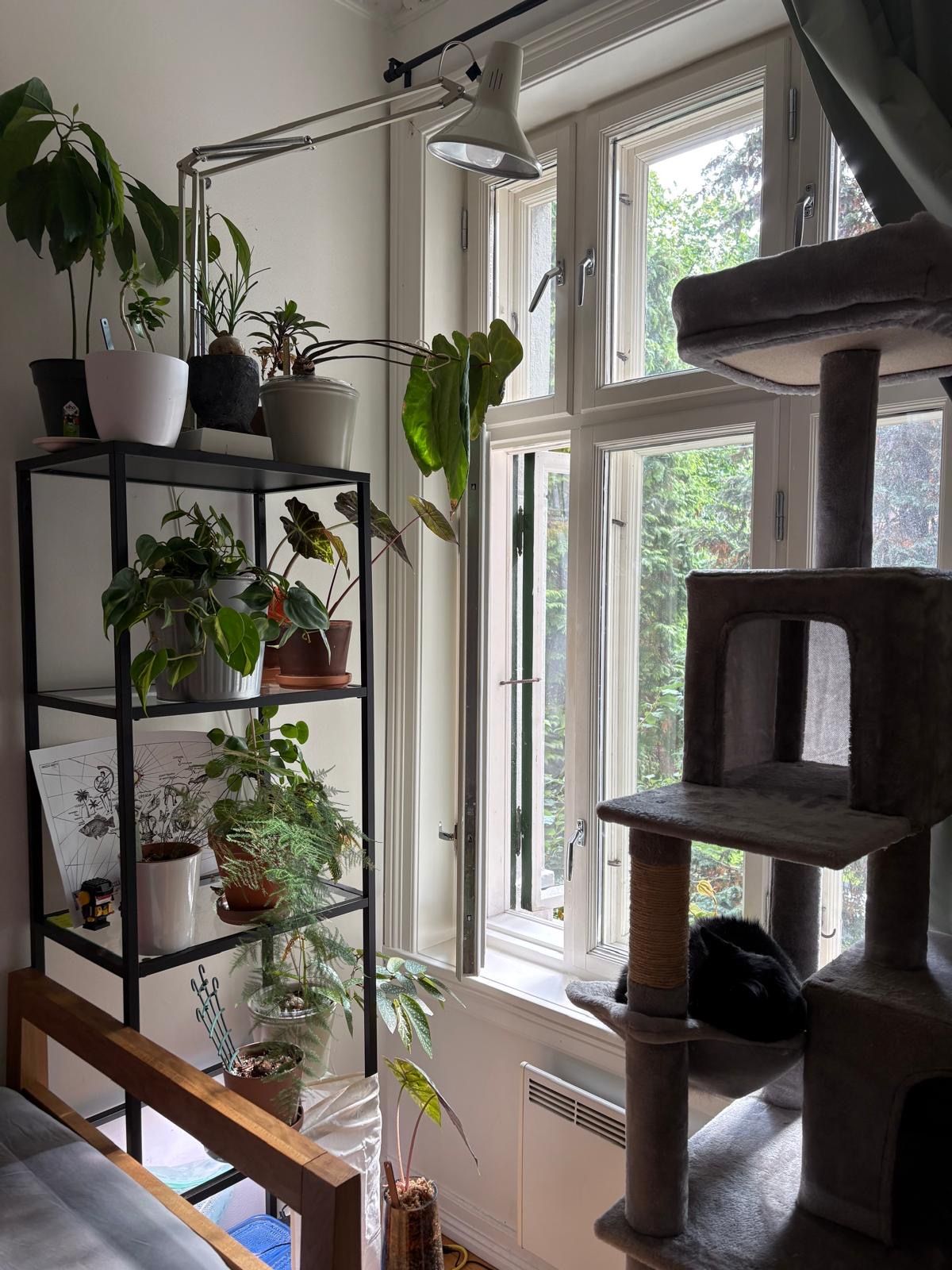 image-19