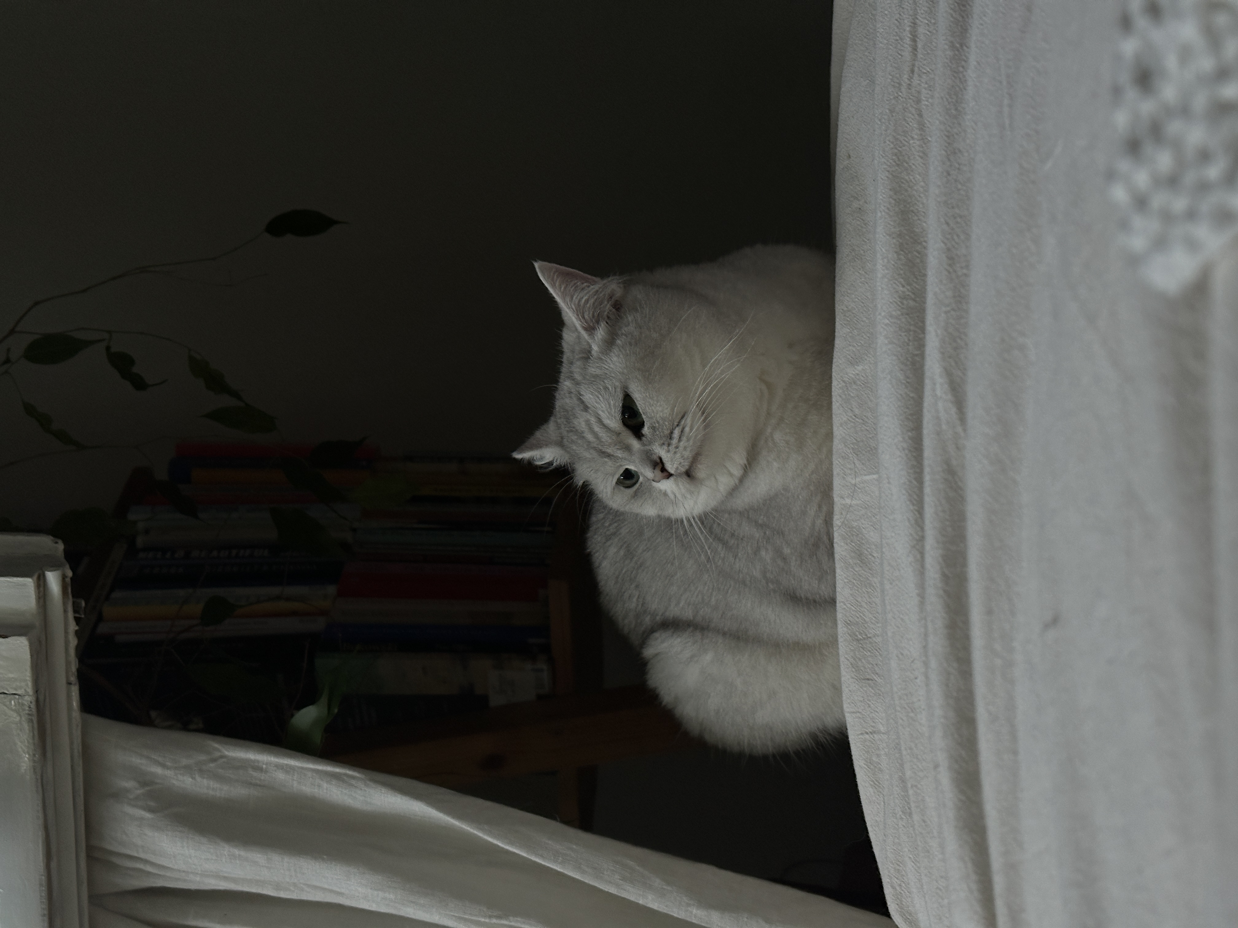 image-13