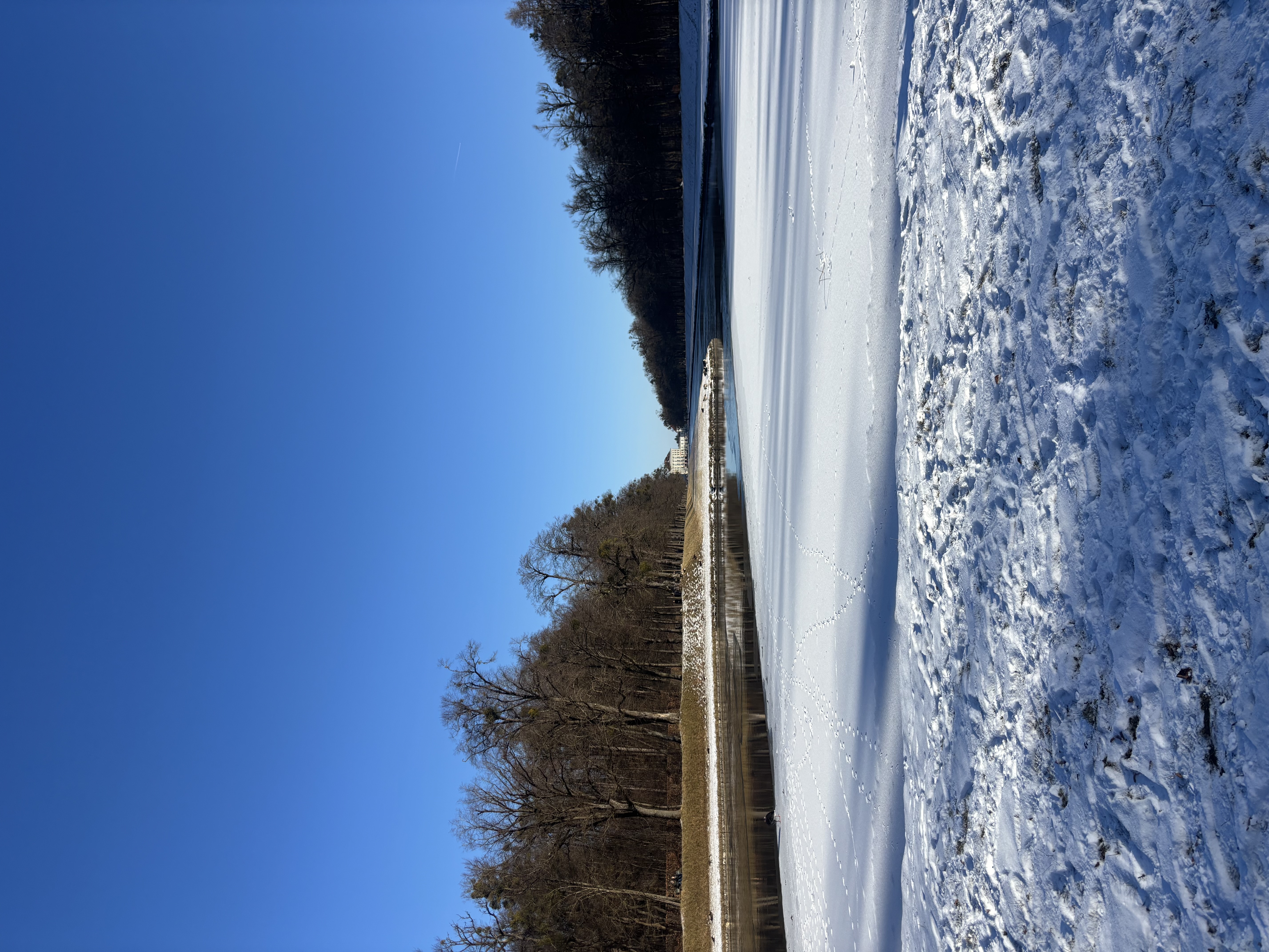 image-20