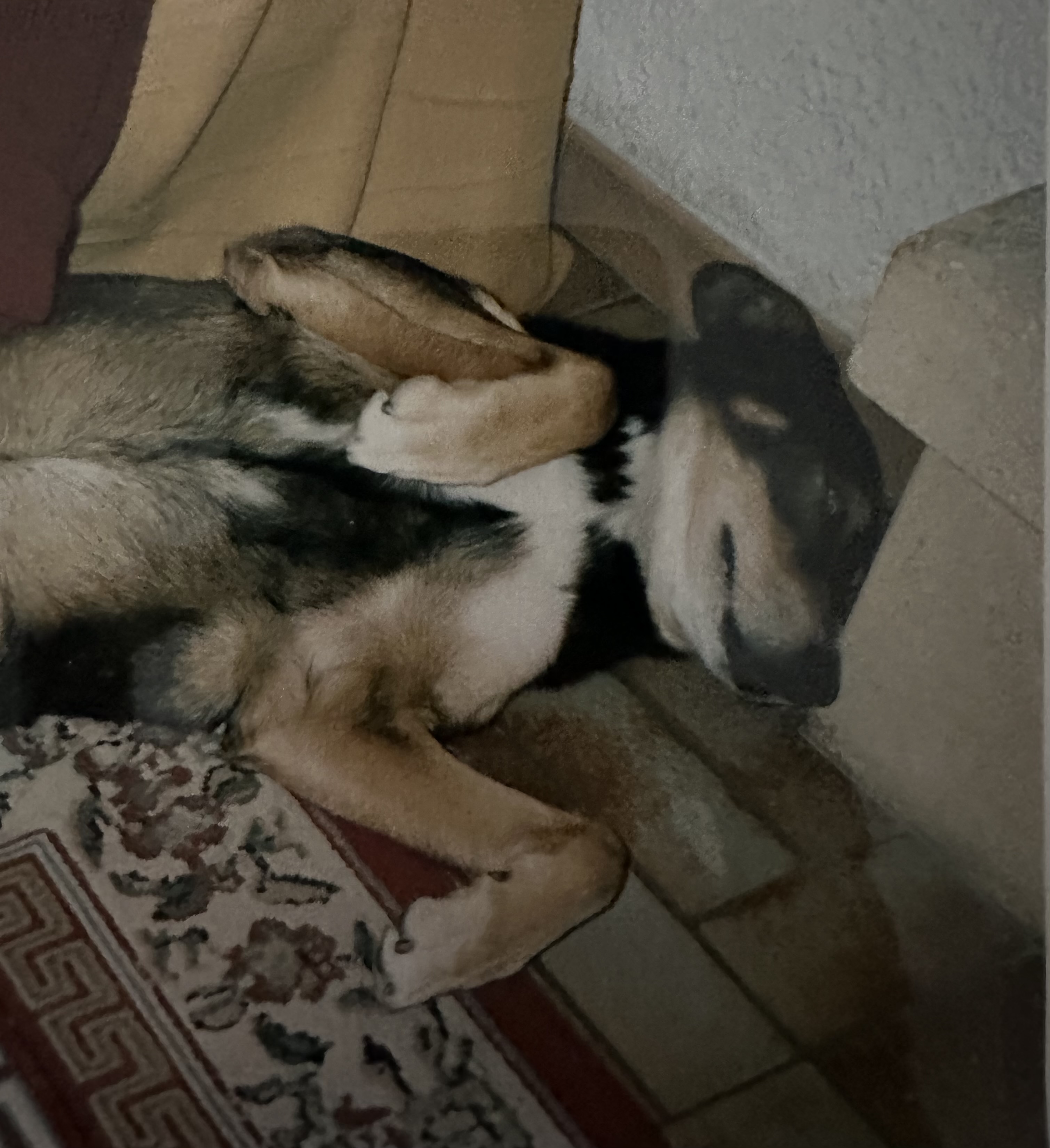 image-8