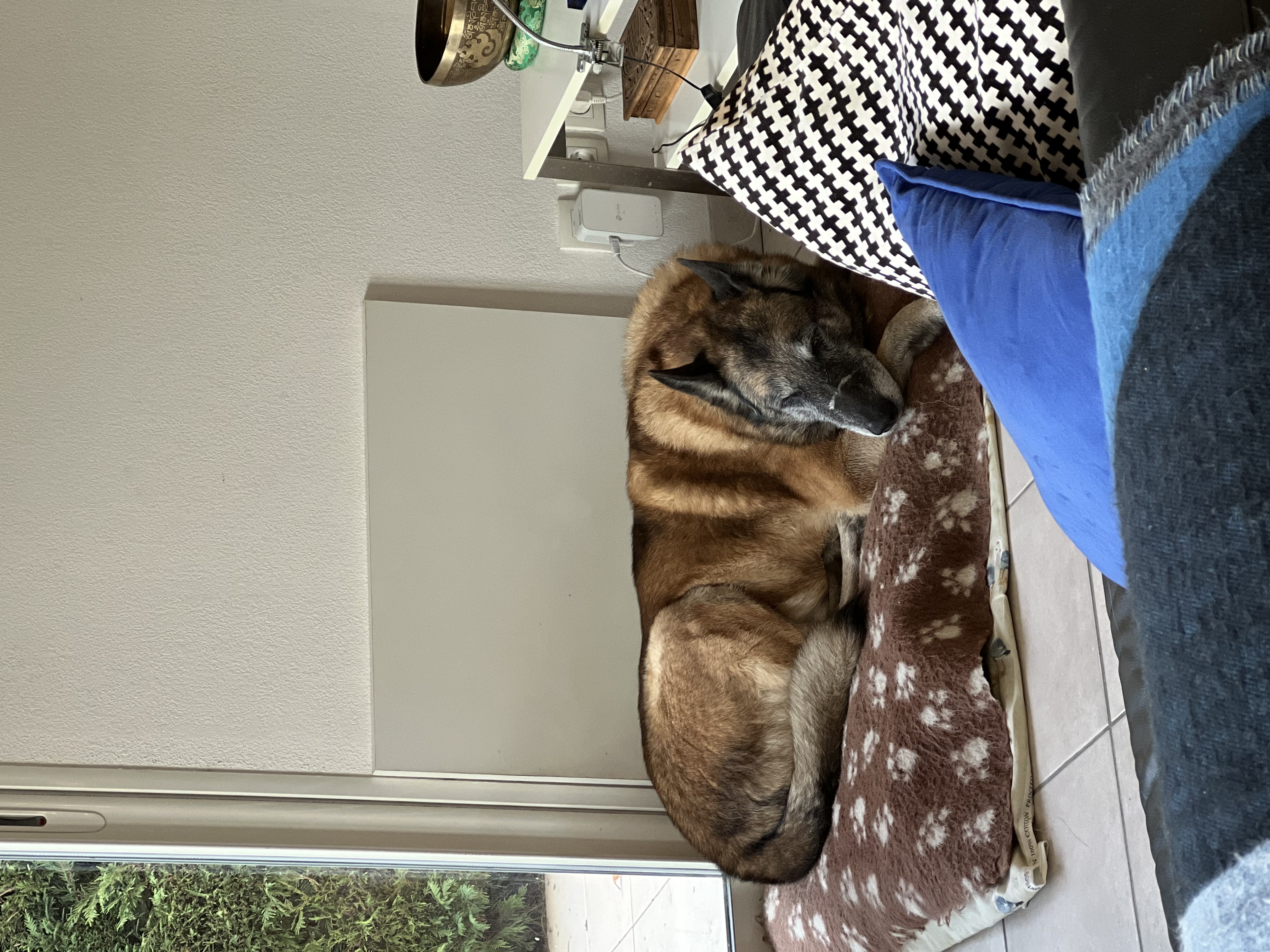 image-4