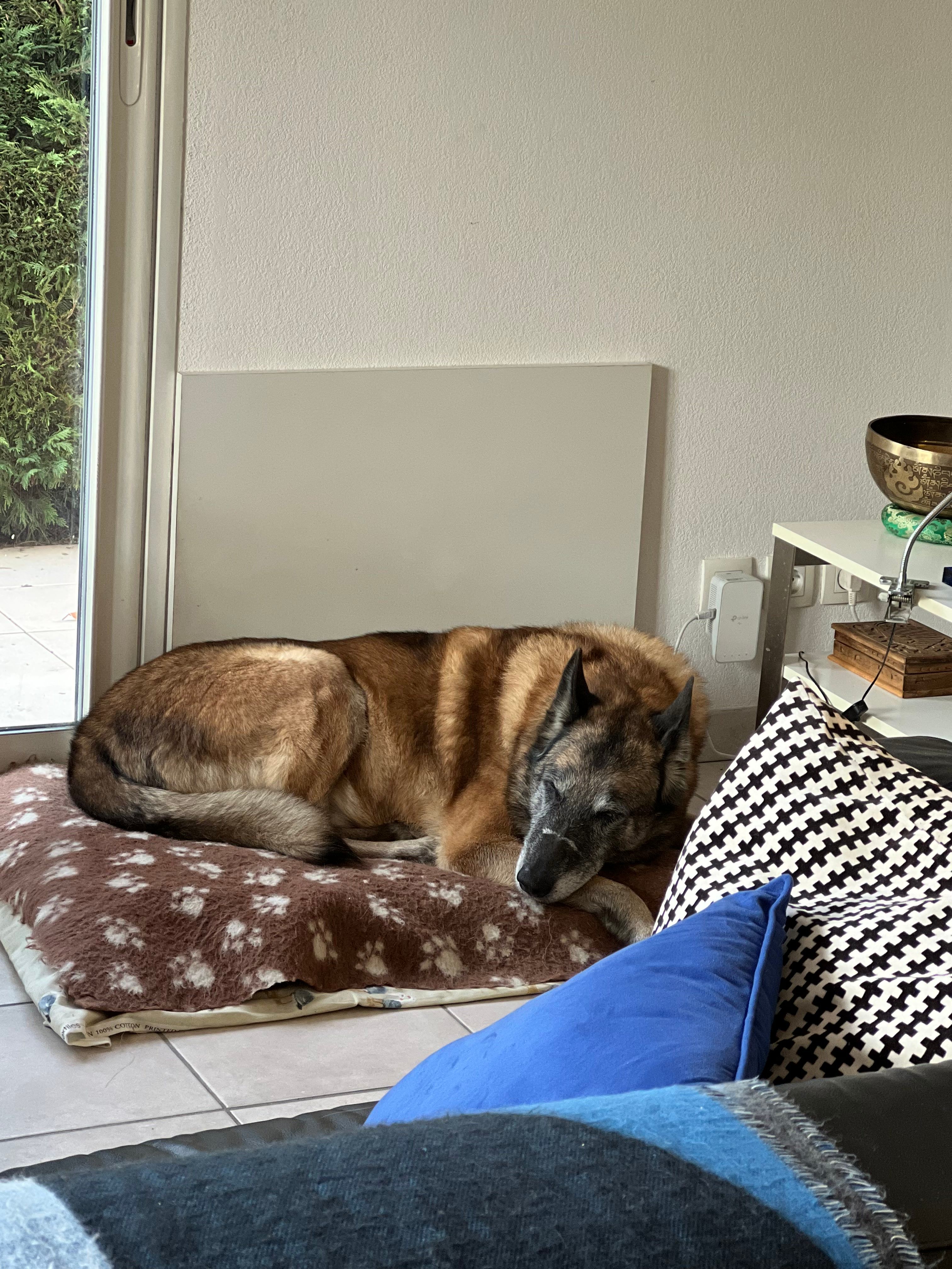 image-4