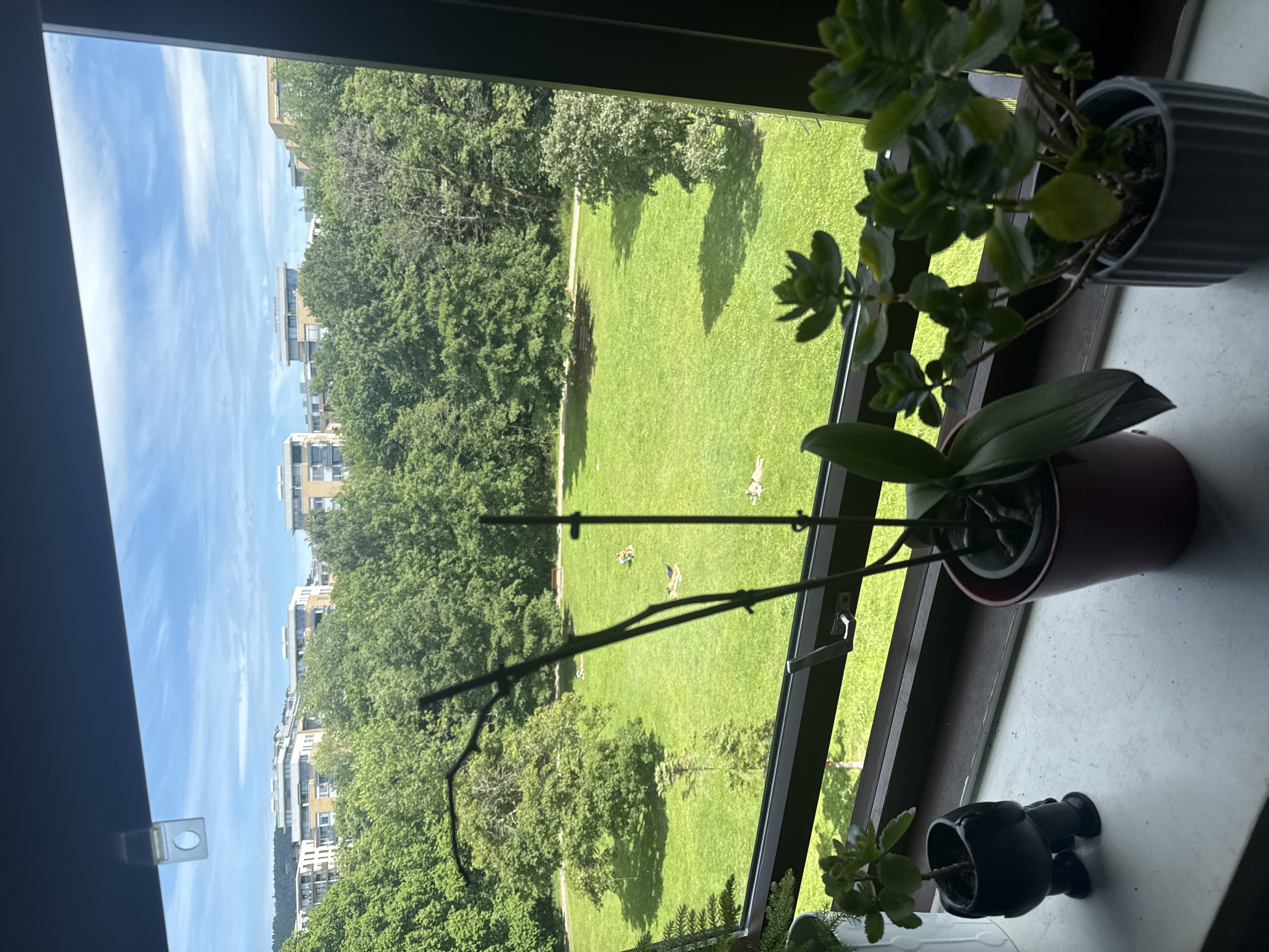 image-15