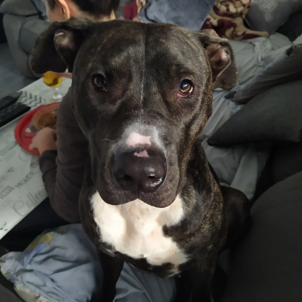 nala