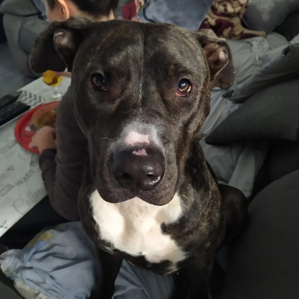 nala