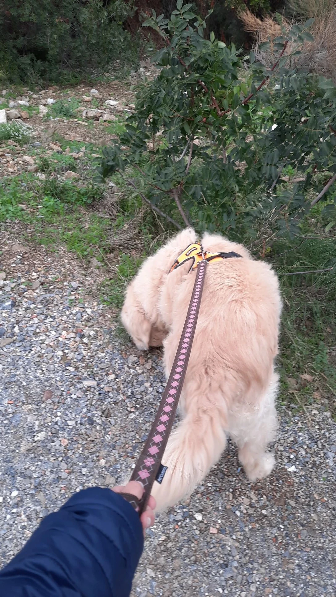 image-7
