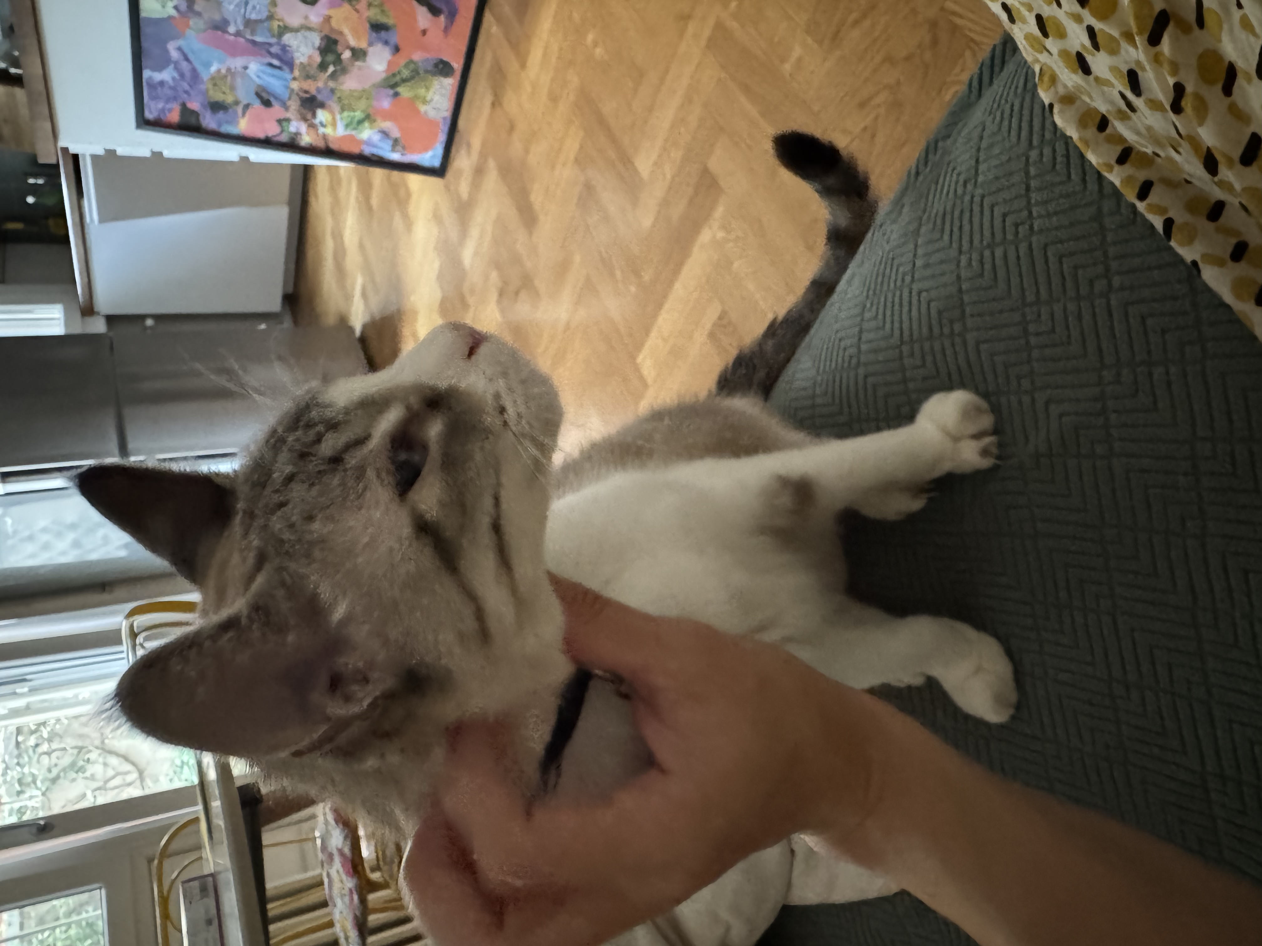 image-11