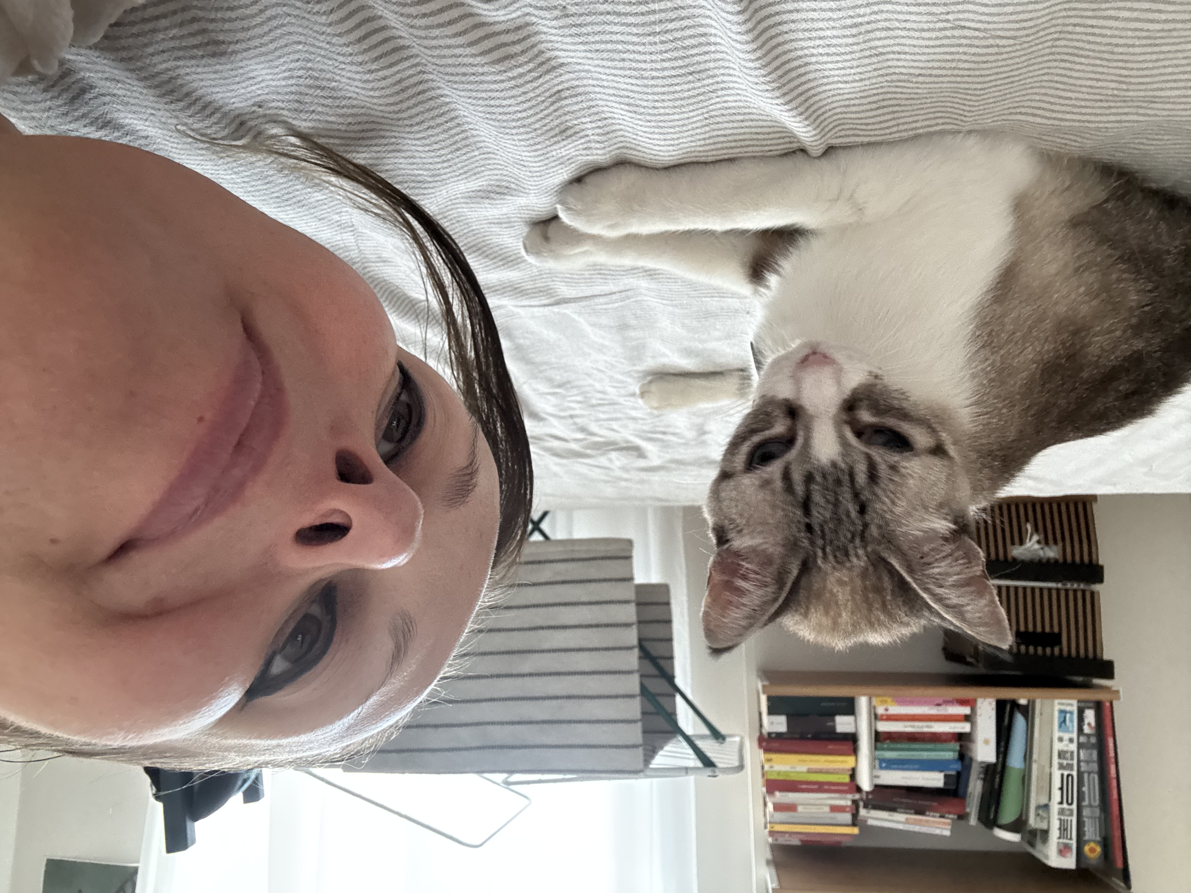image-8
