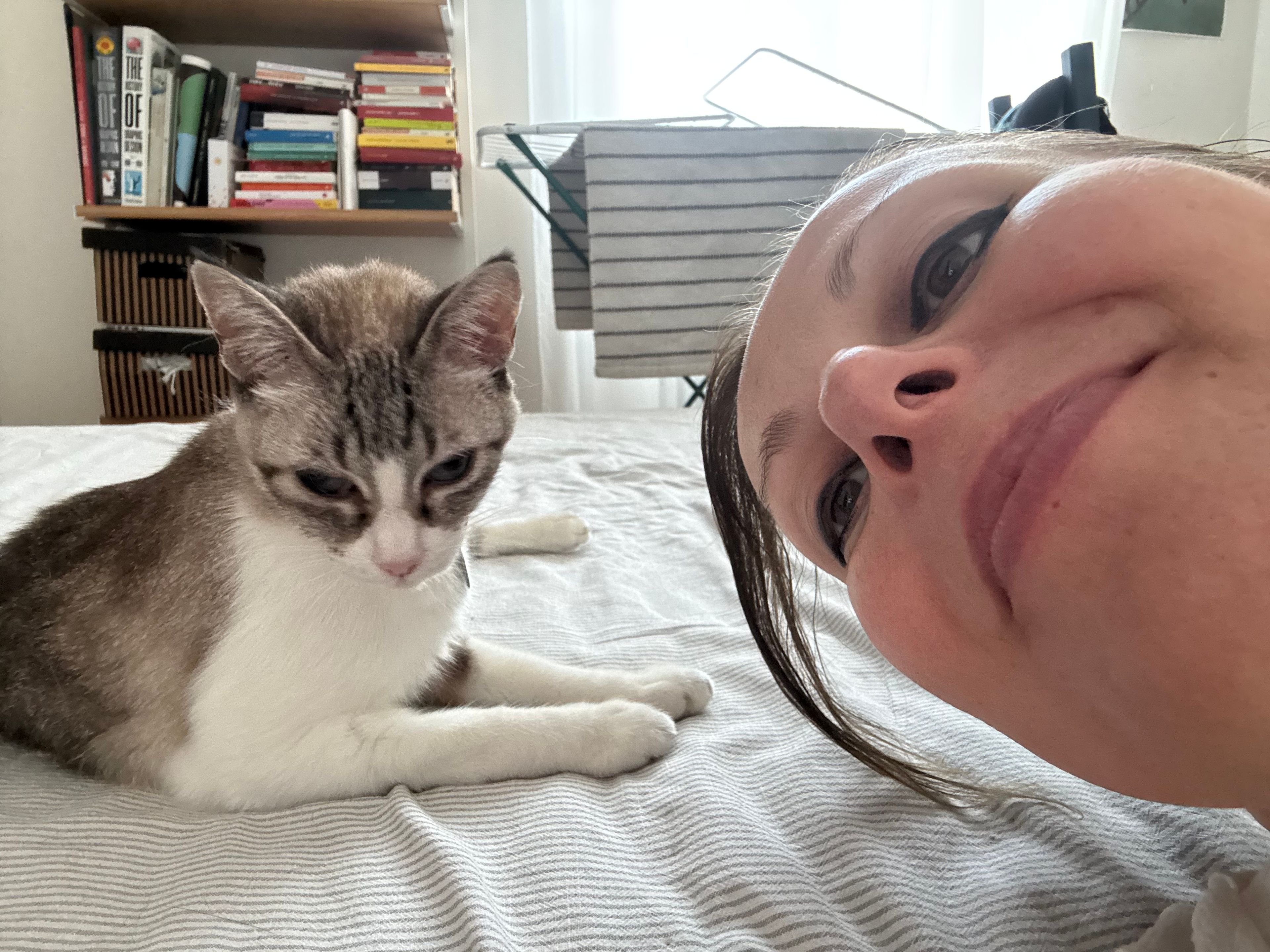 image-8