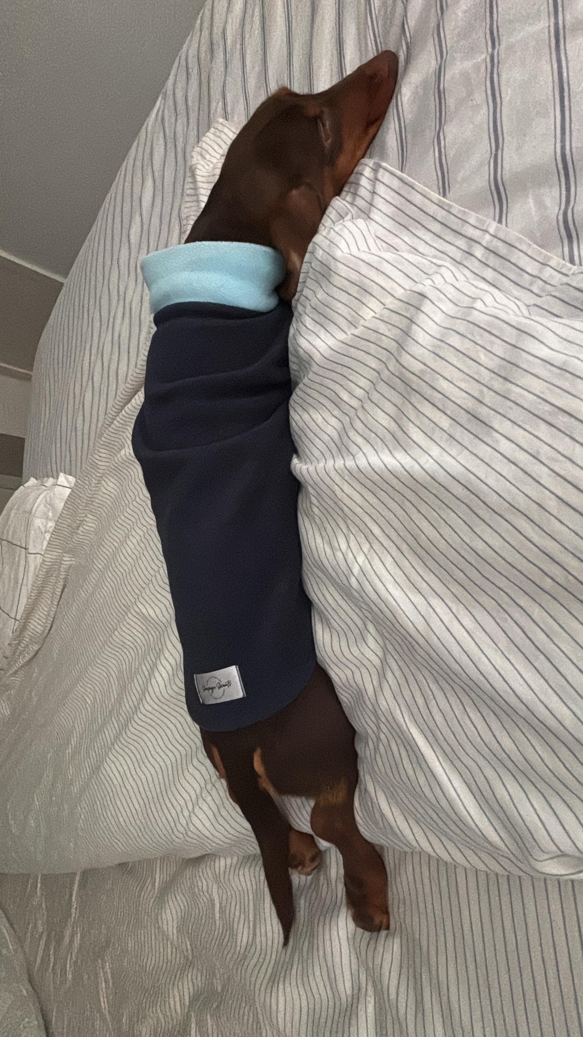 image-11