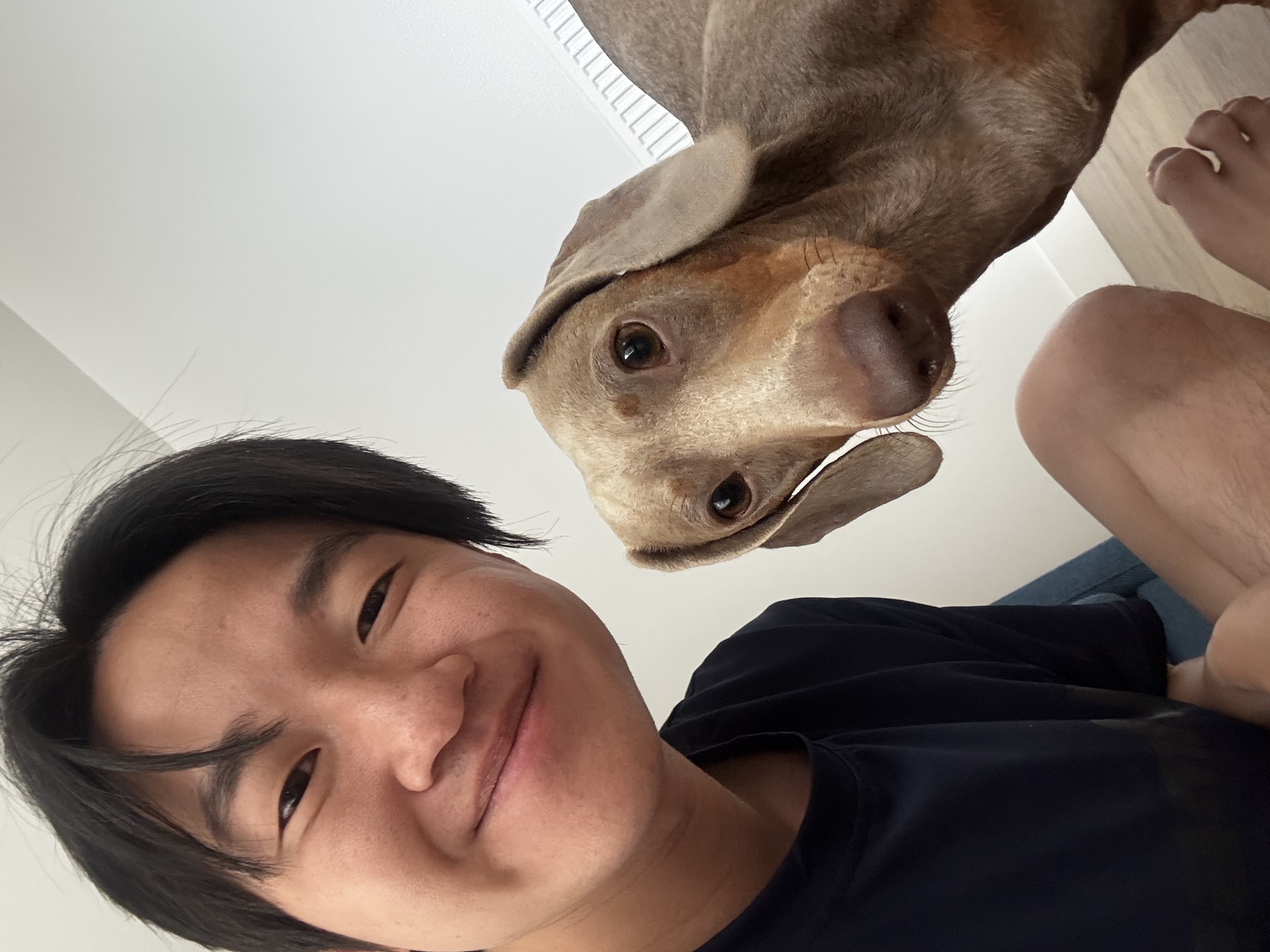 image-6