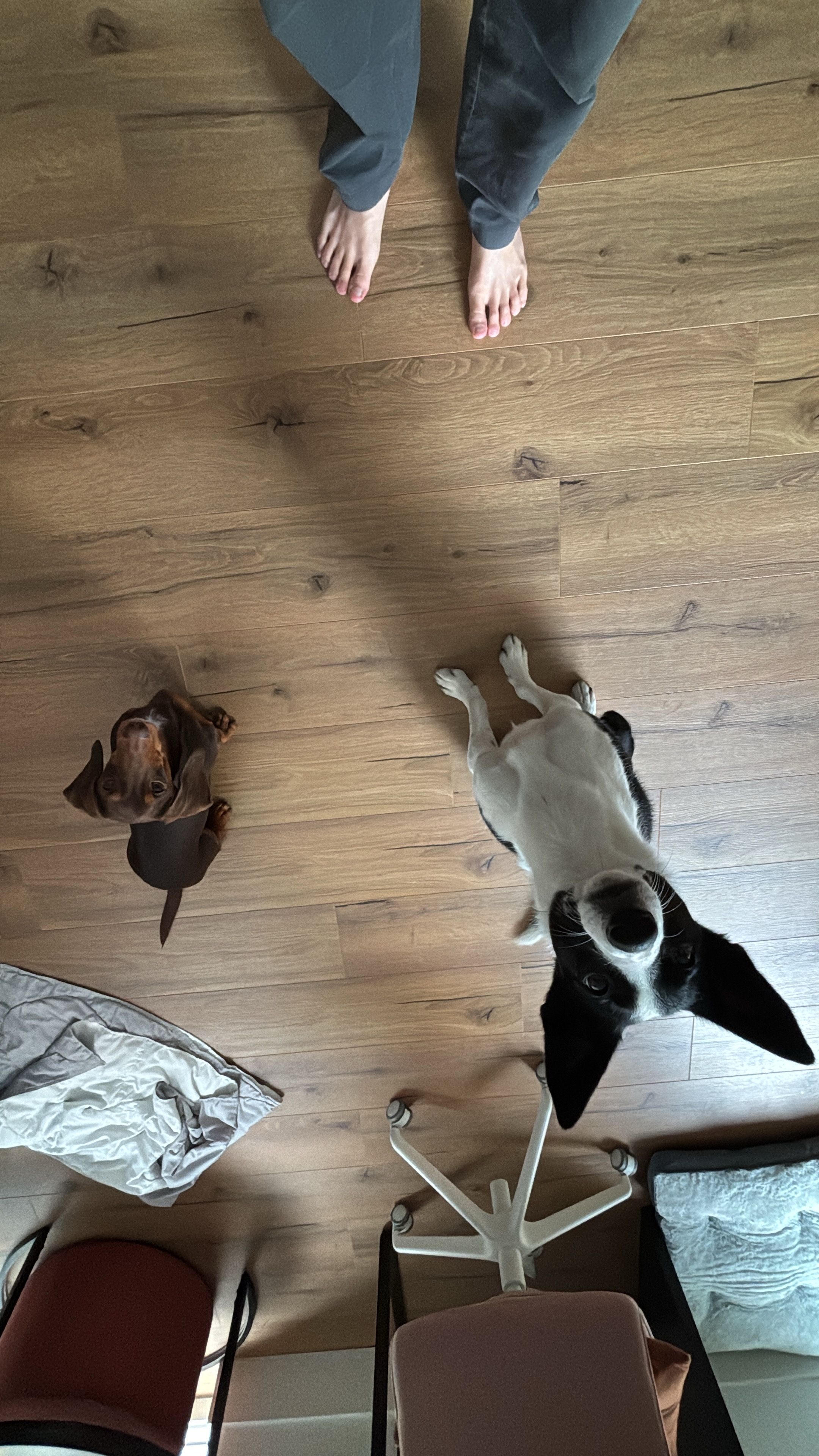 image-9