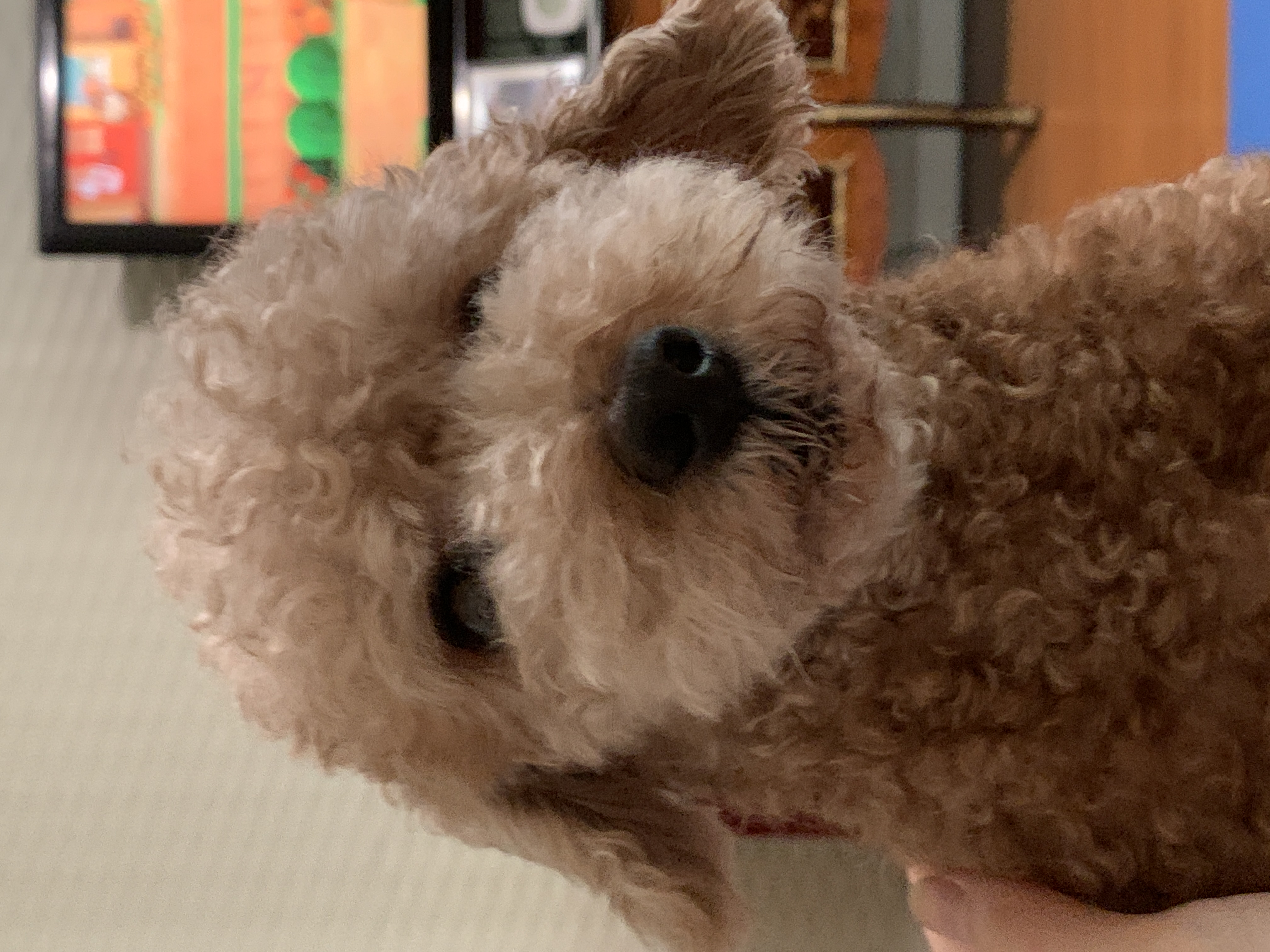 image-8