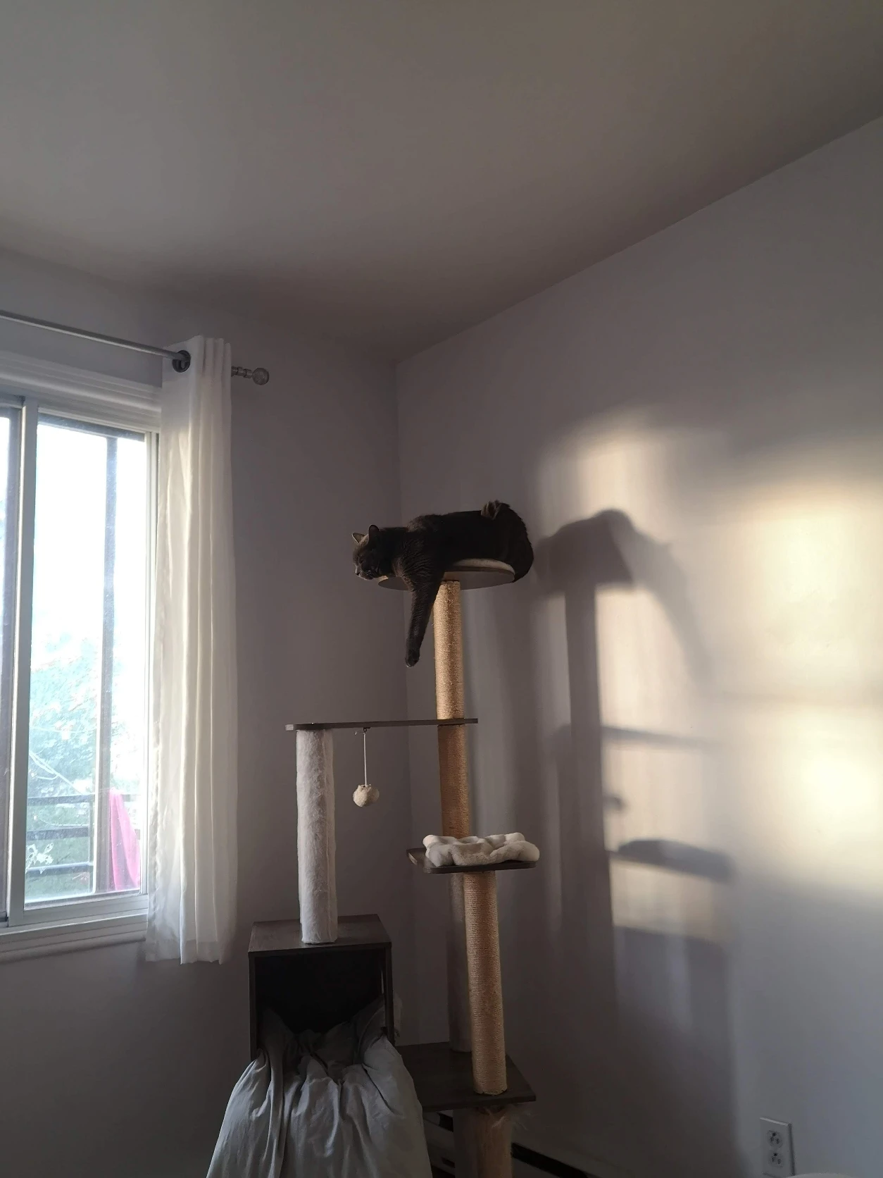 image-17