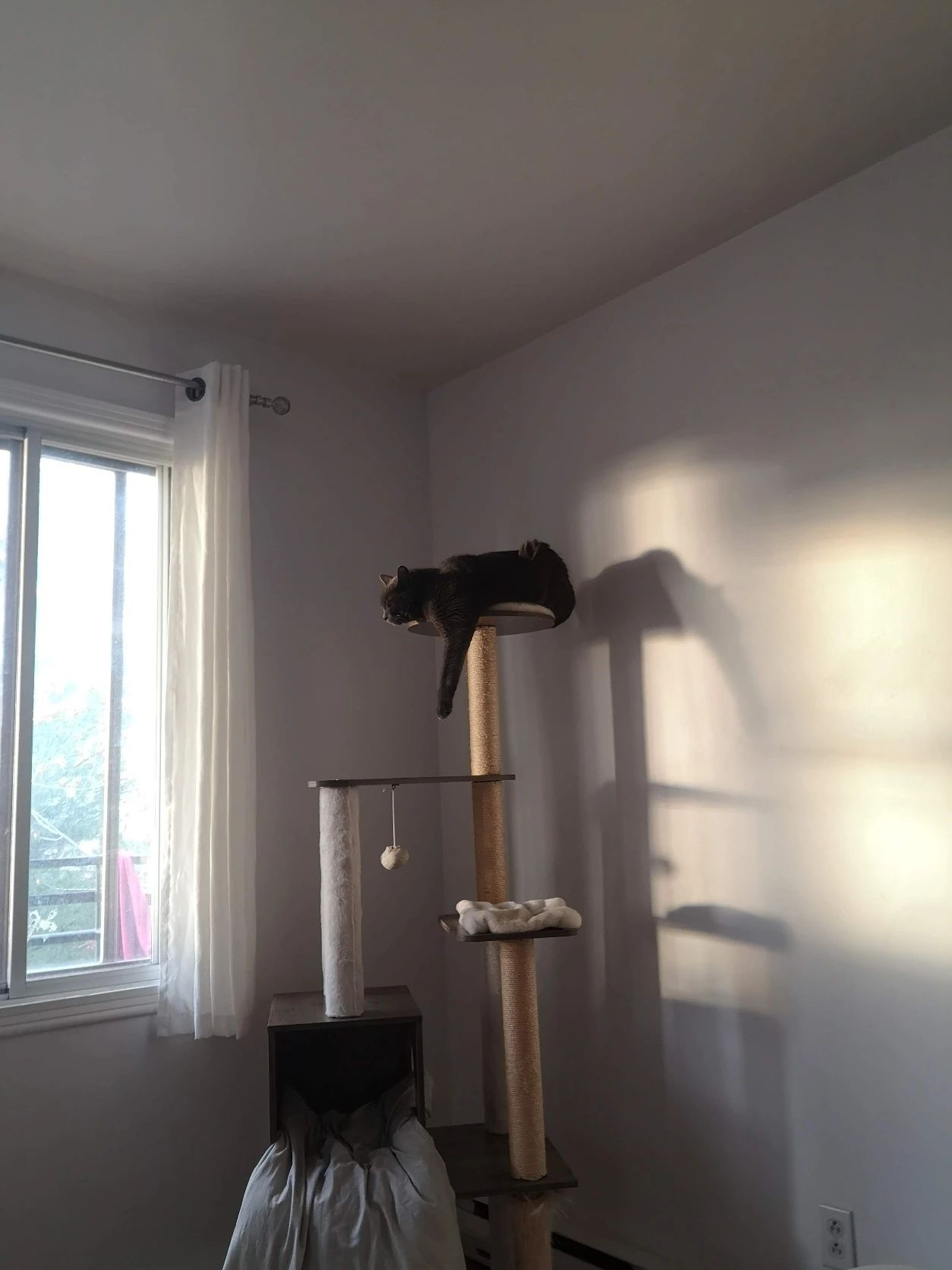 image-17