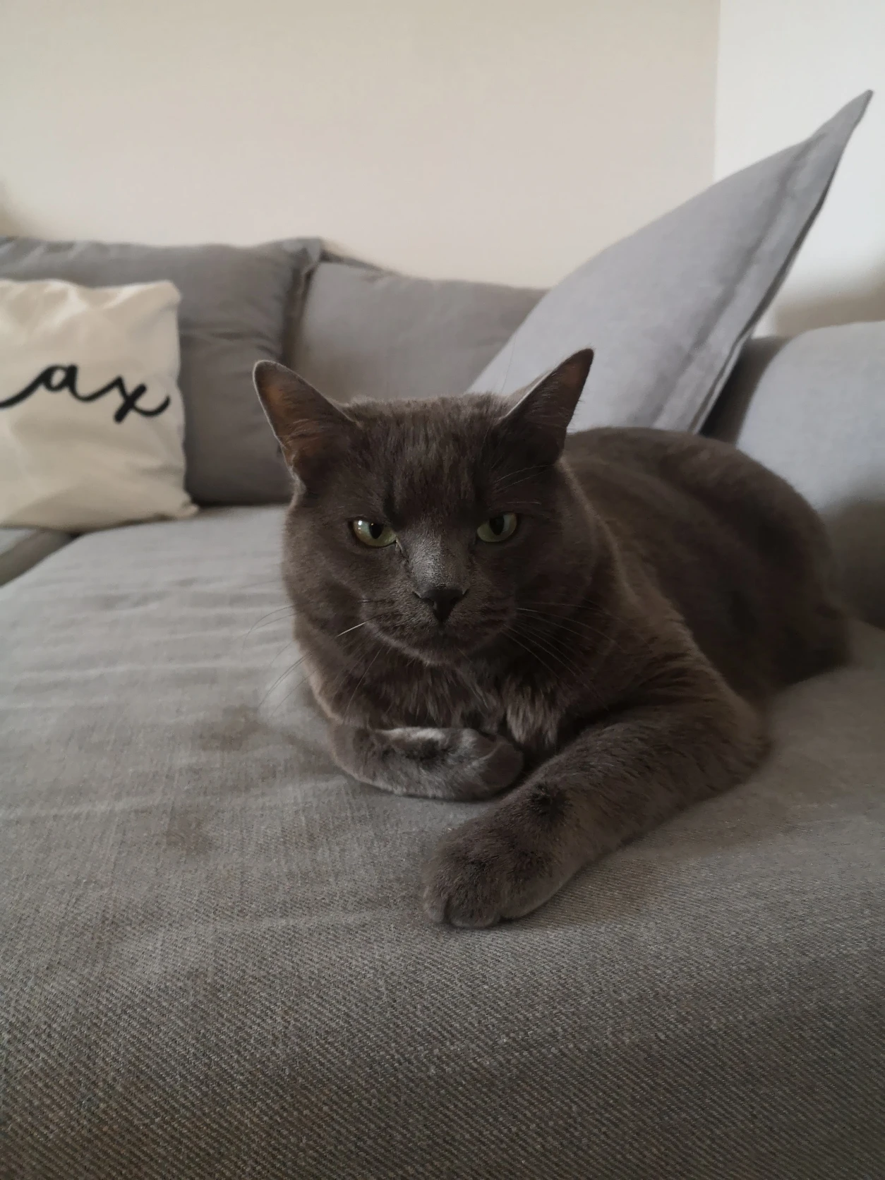 image-15