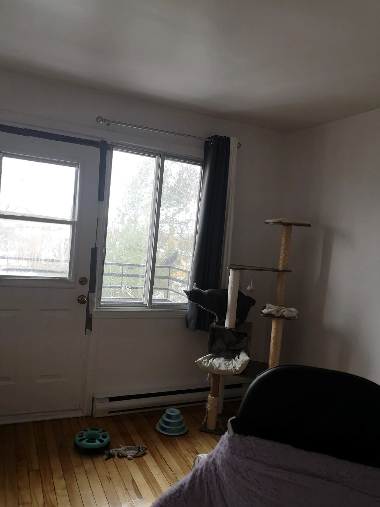 image-18