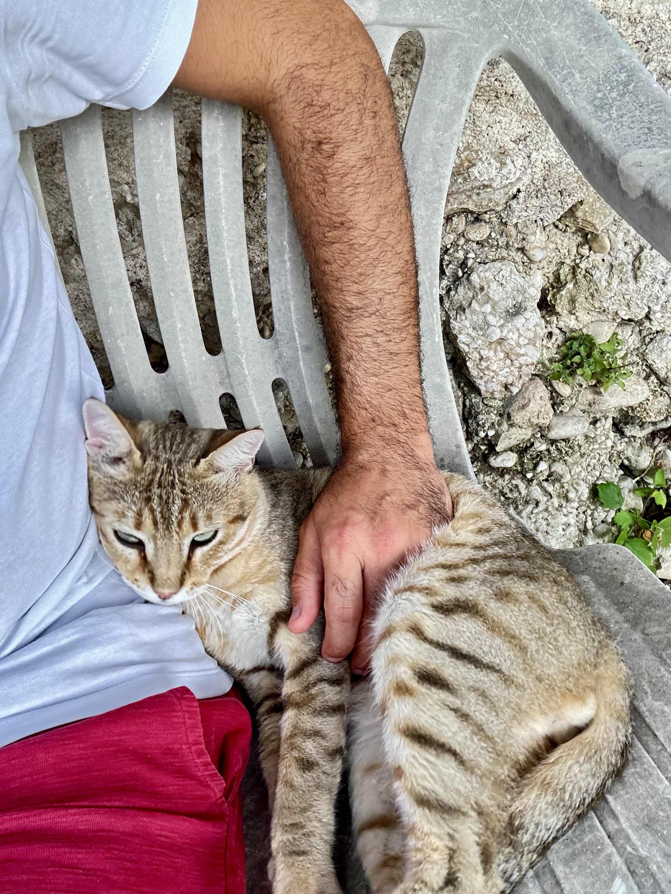 image-6
