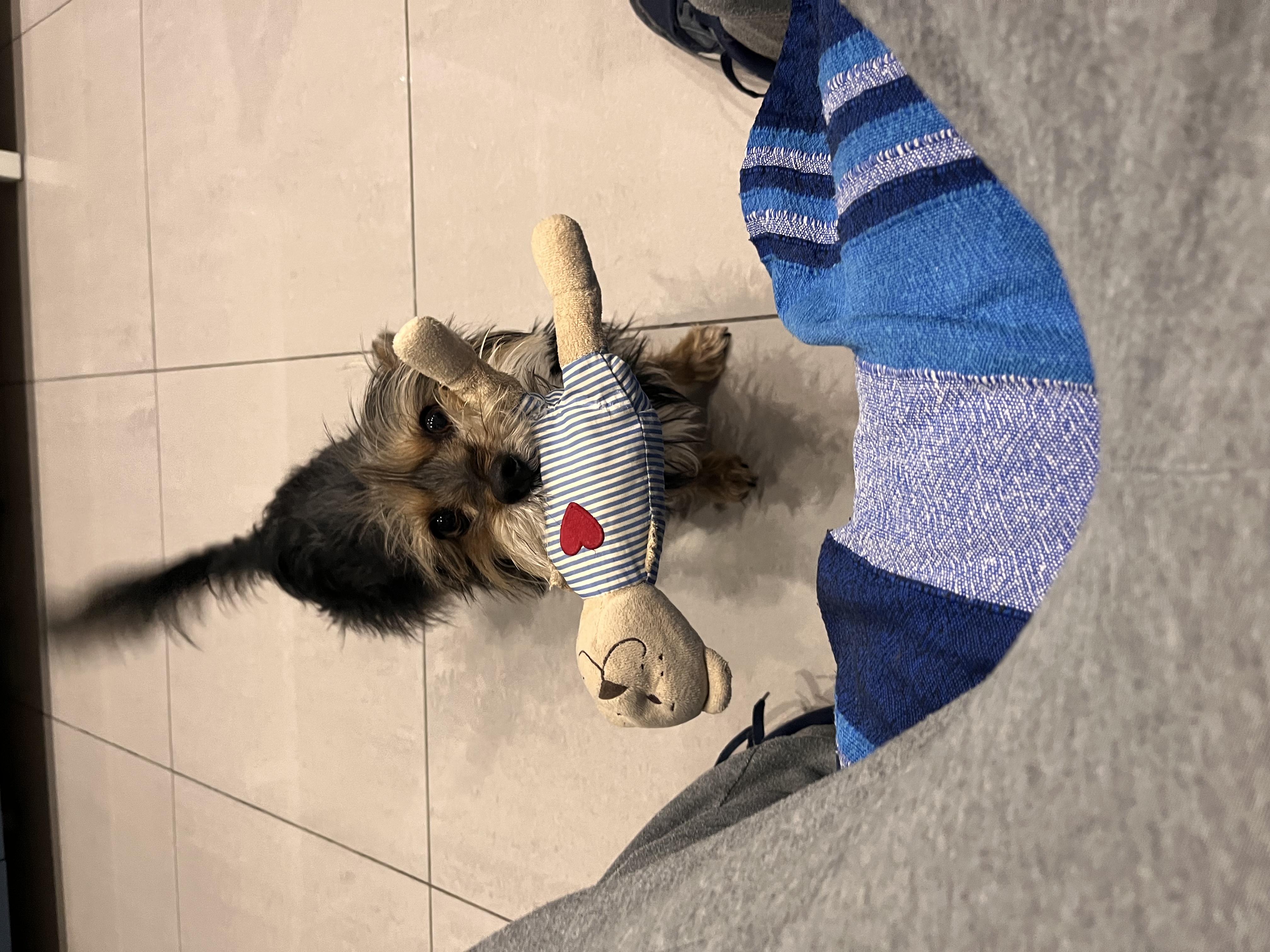 image-10