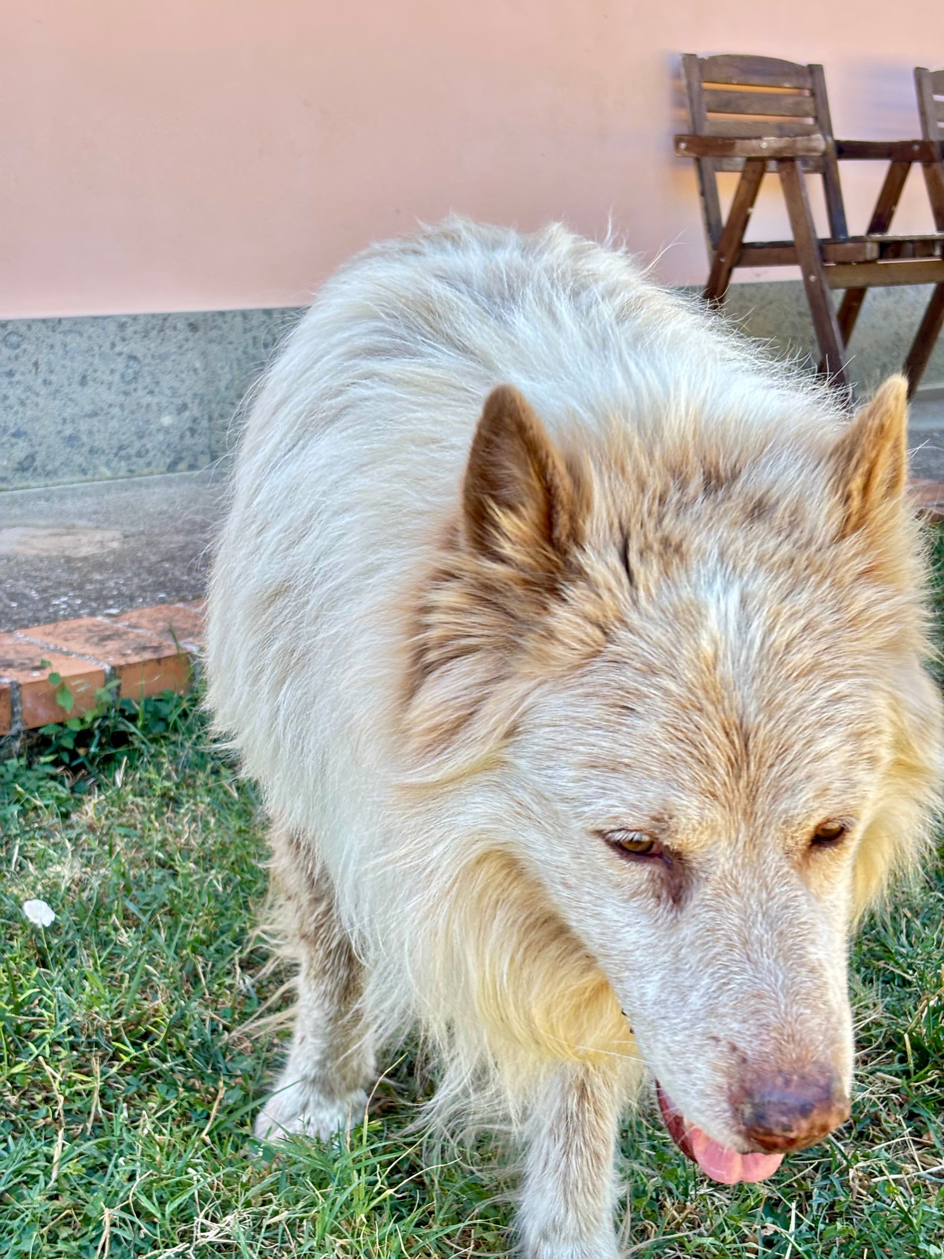 image-8