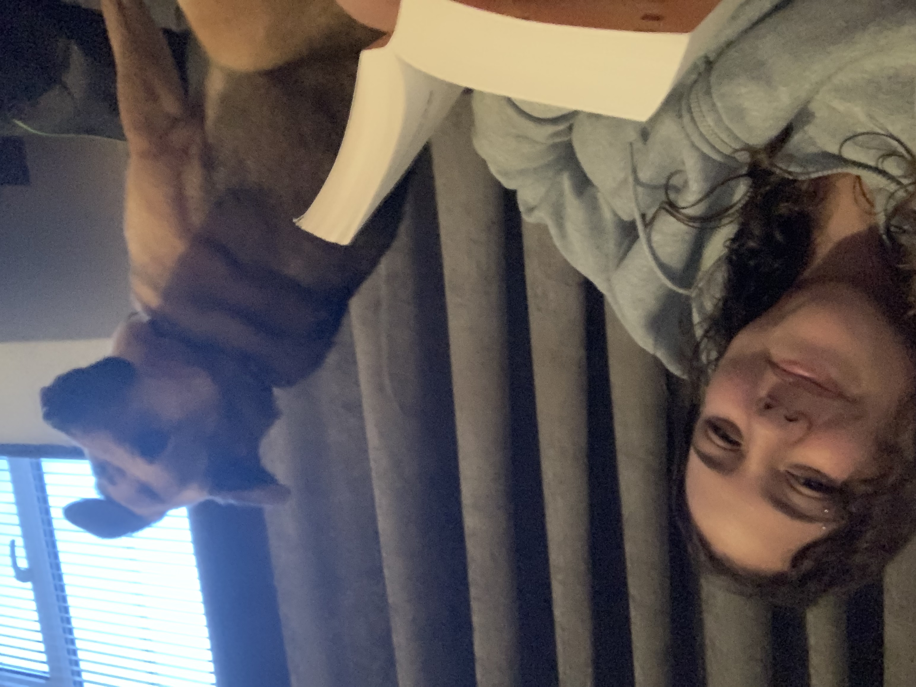 image-6