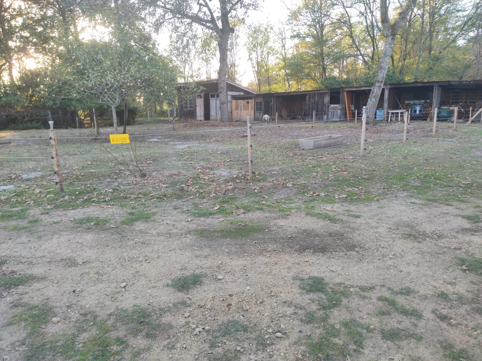 image-16