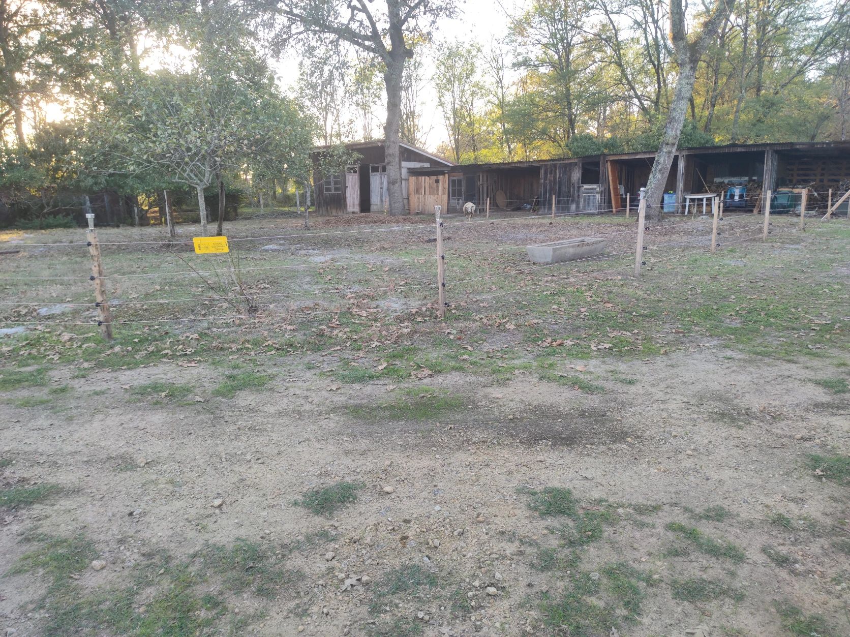 image-16
